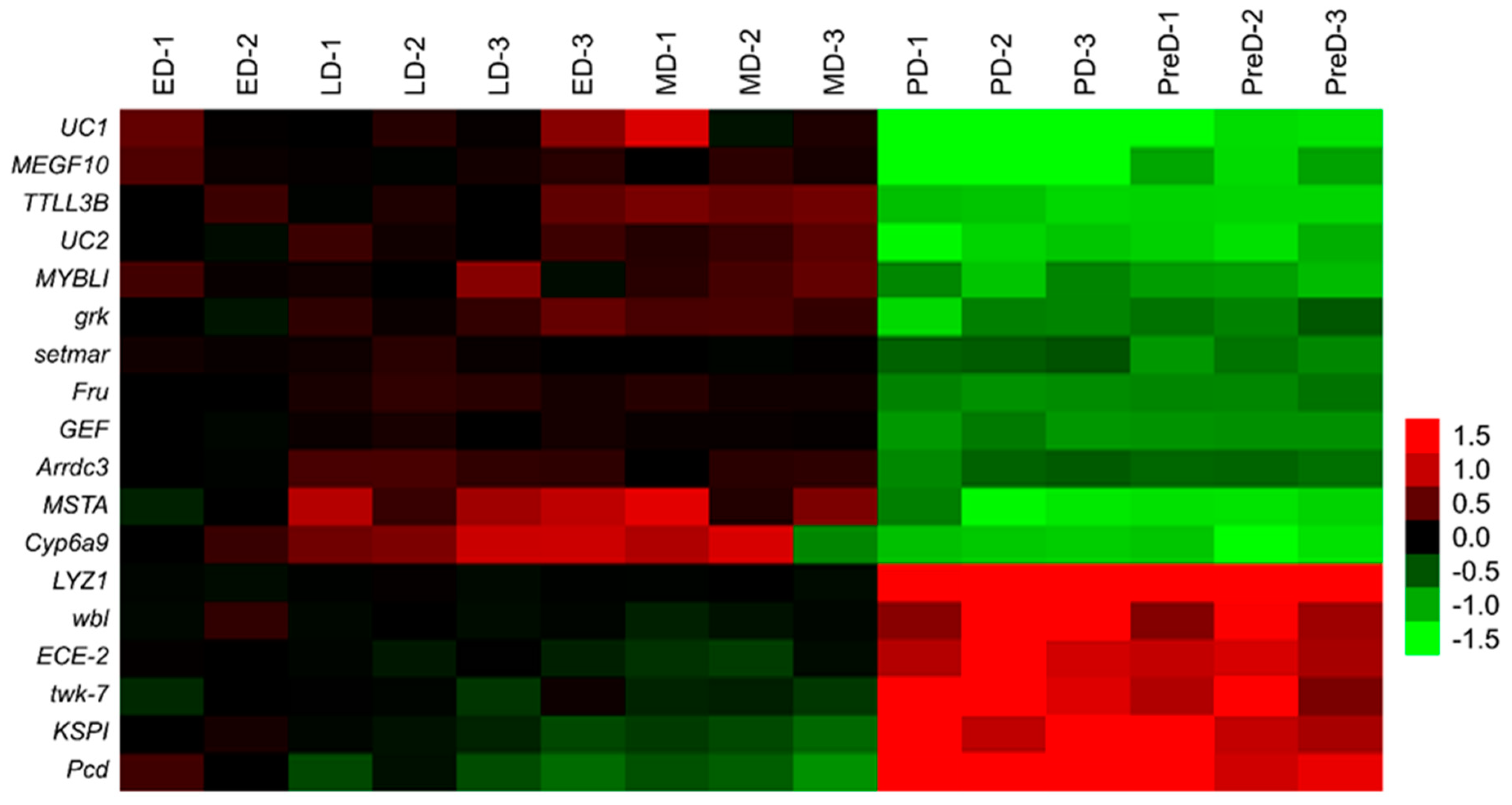 Insects 10 00169 g001
