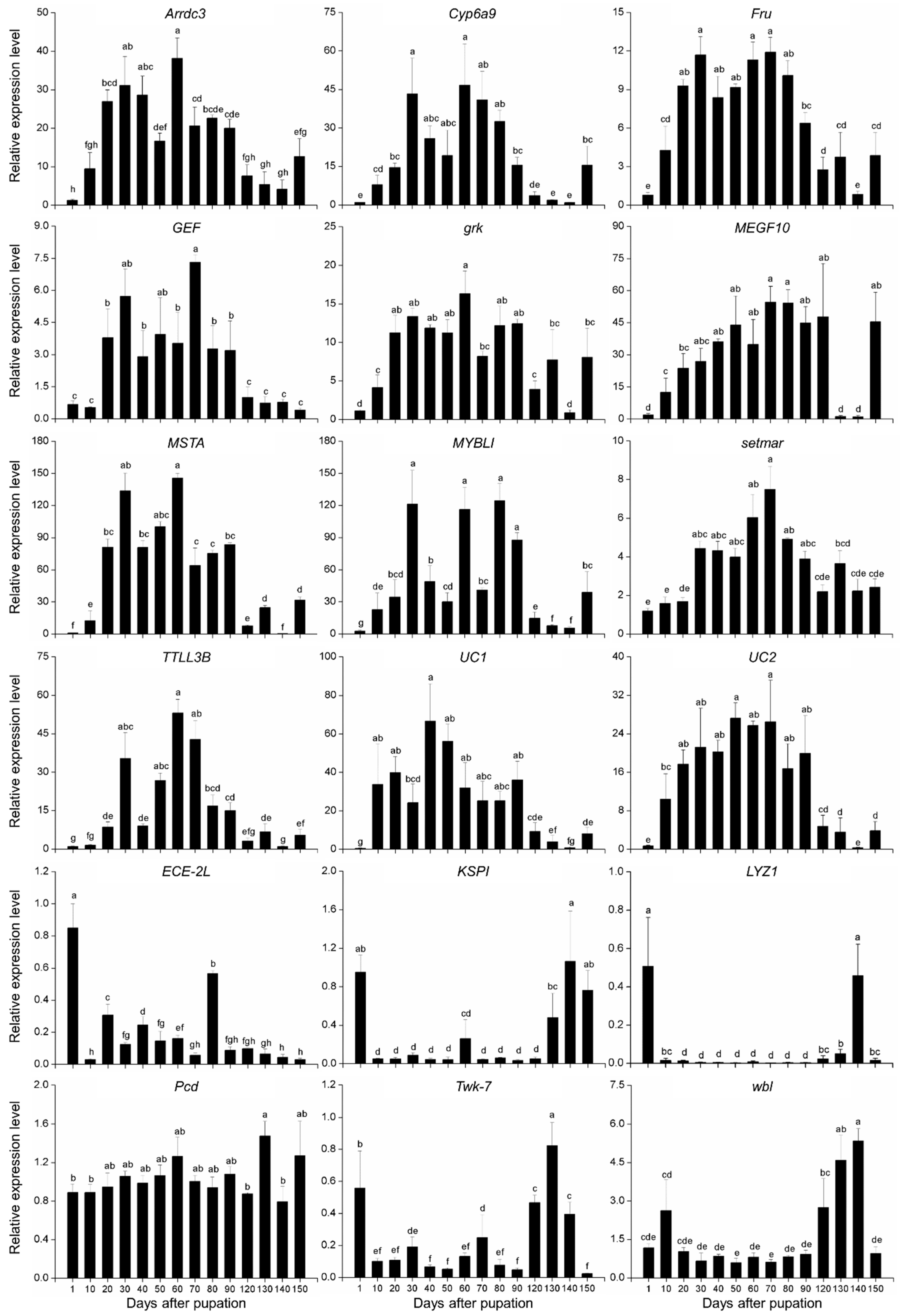 Insects 10 00169 g002