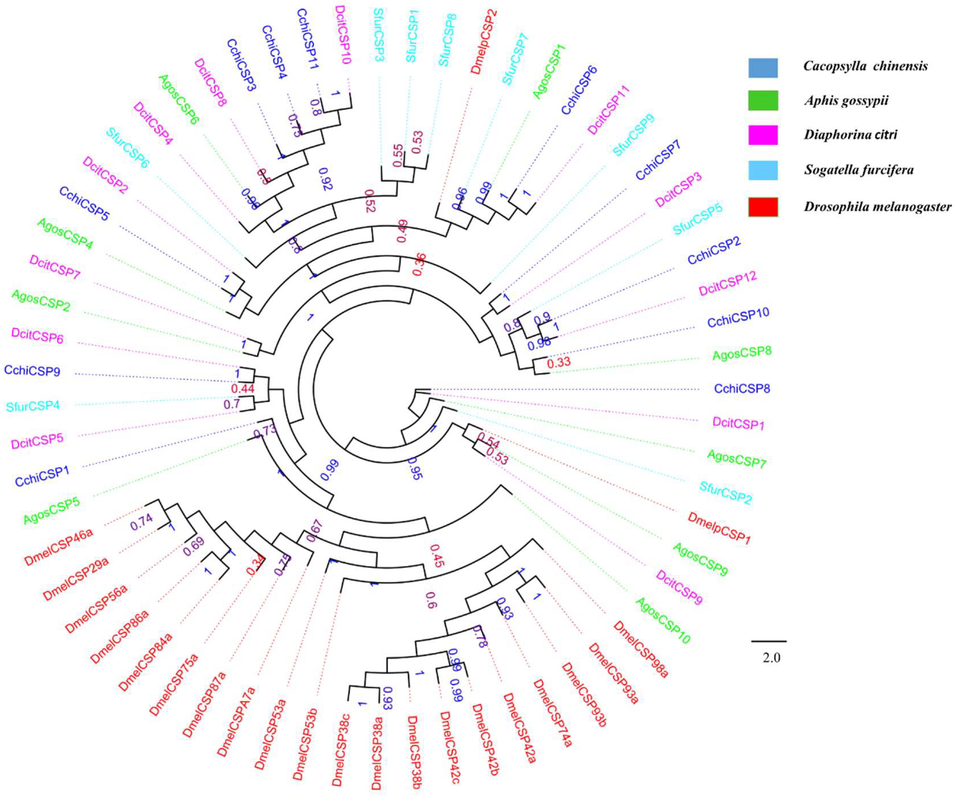 Insects 10 00175 g005 Insects 10 00175 g005