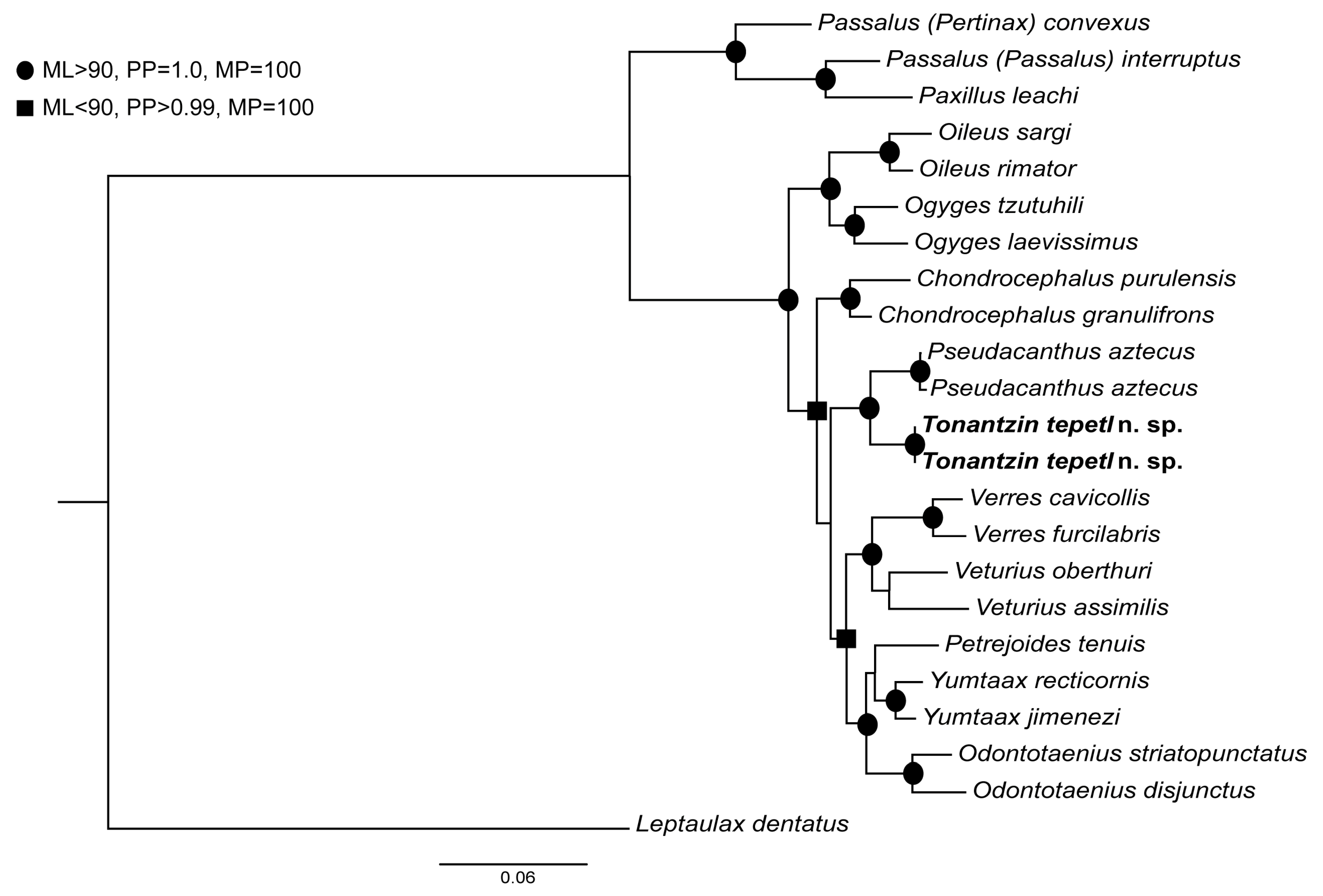 Insects 10 00188 g002