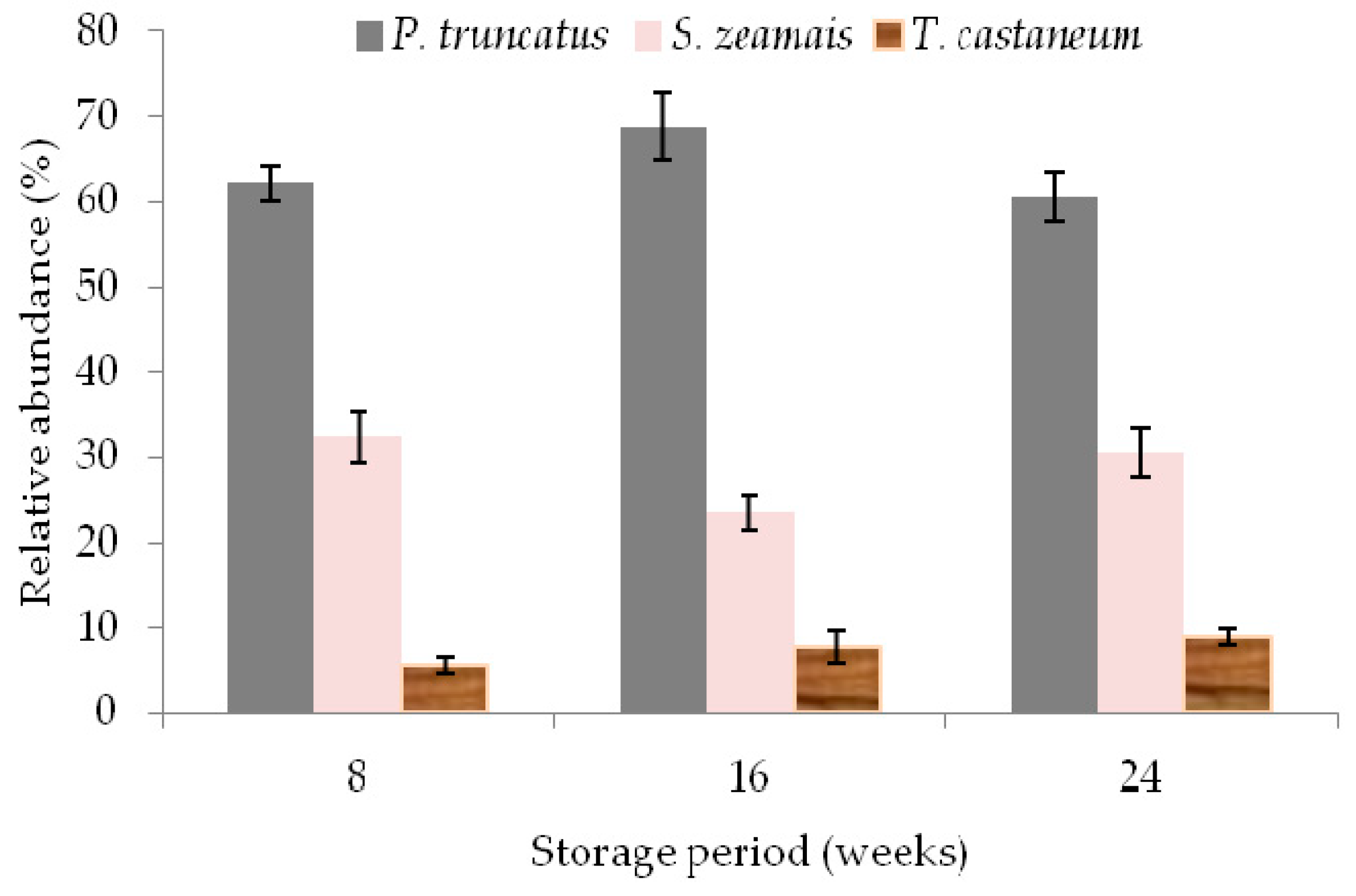 Insects 10 00204 g003