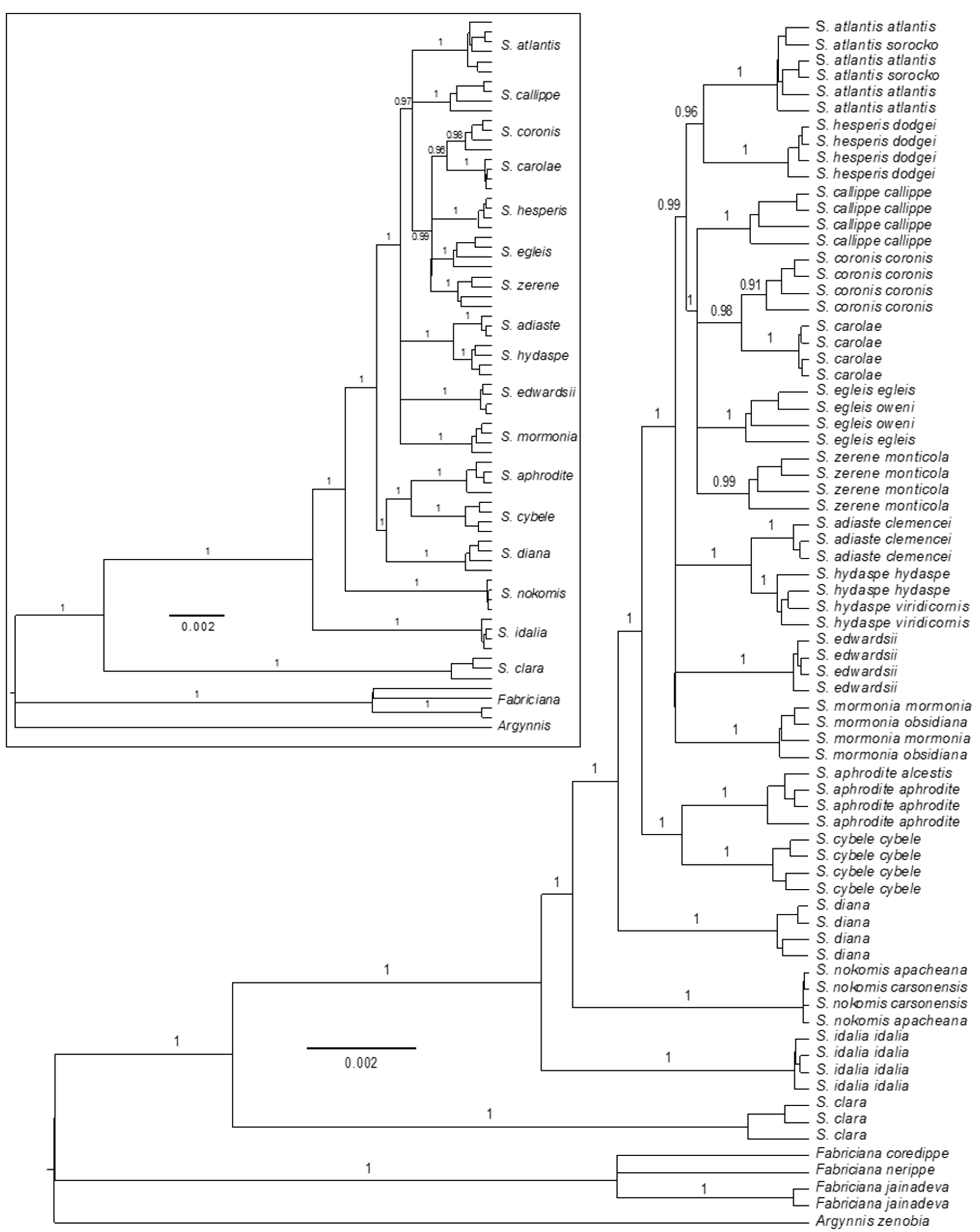Insects 10 00209 g001