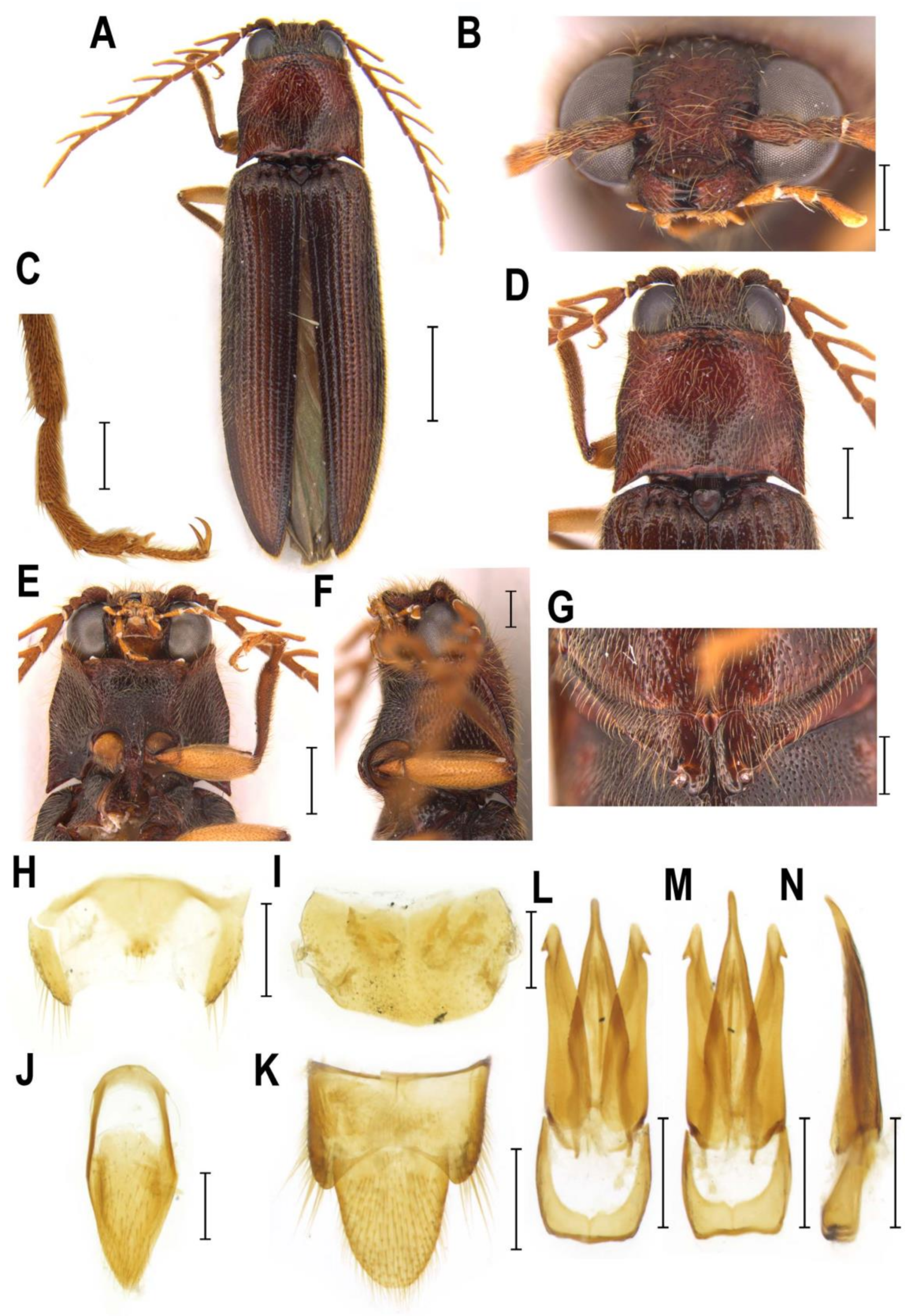Insects 10 00231 g006
