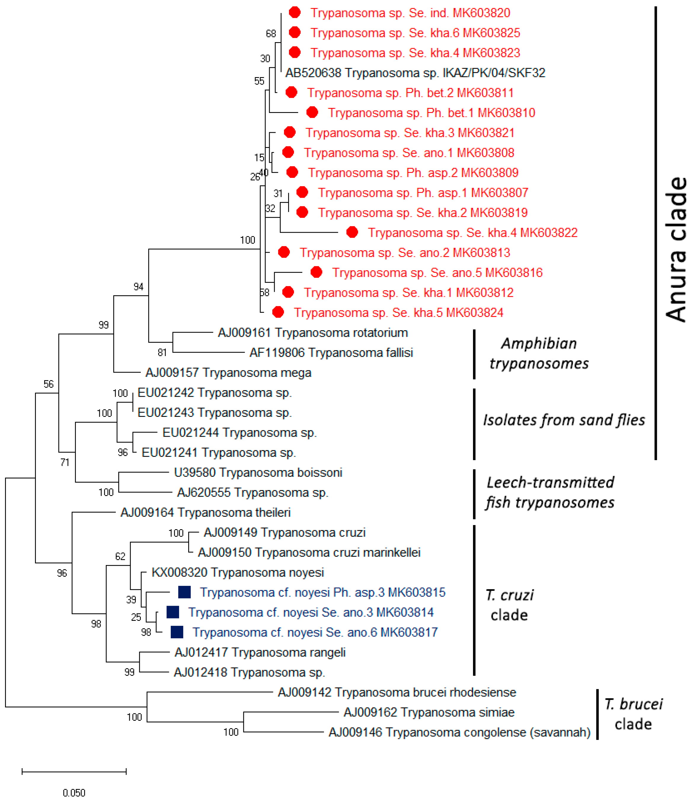 Insects 10 00238 g003 Insects 10 00238 g003