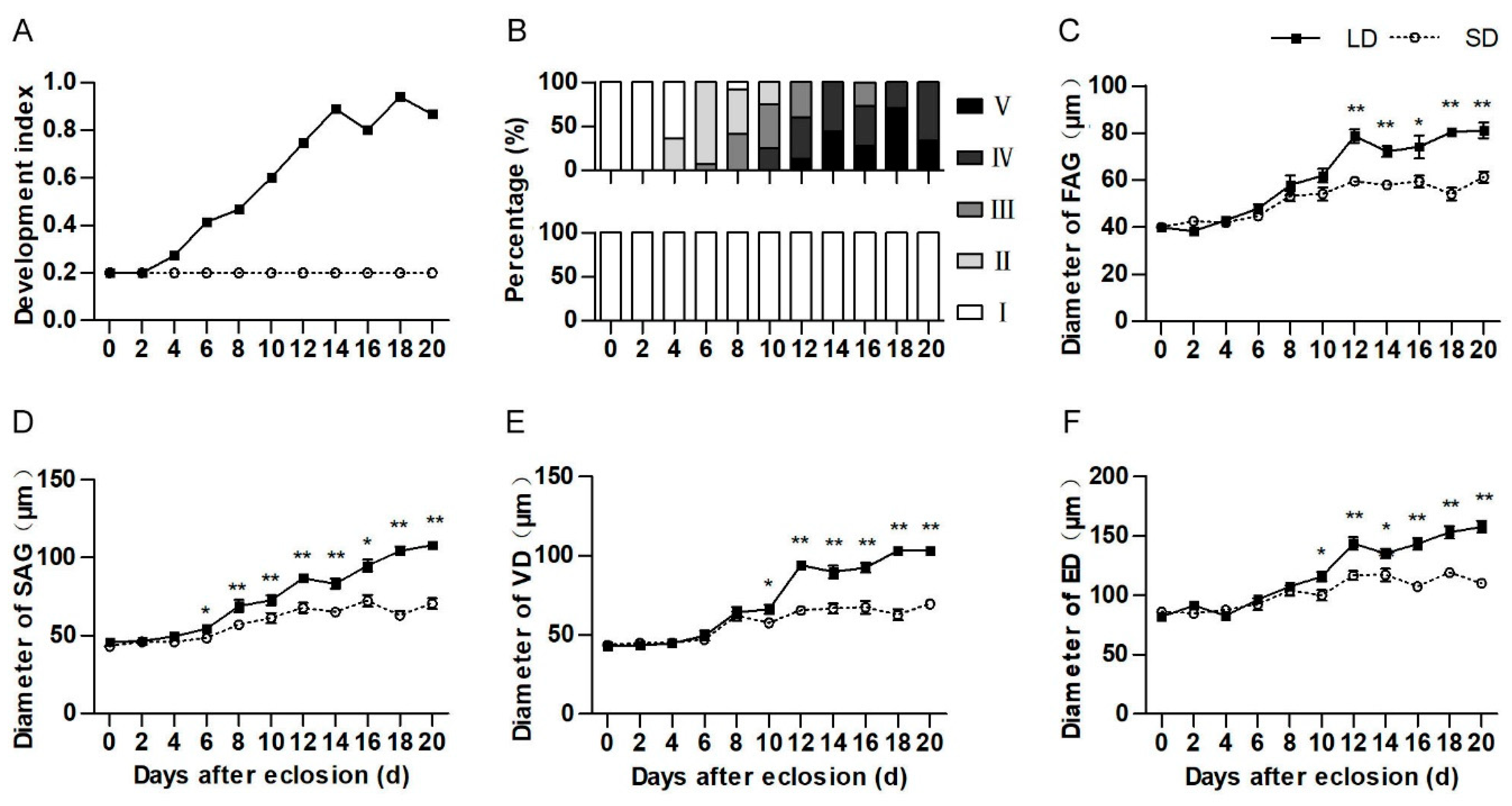 Insects 10 00243 g002