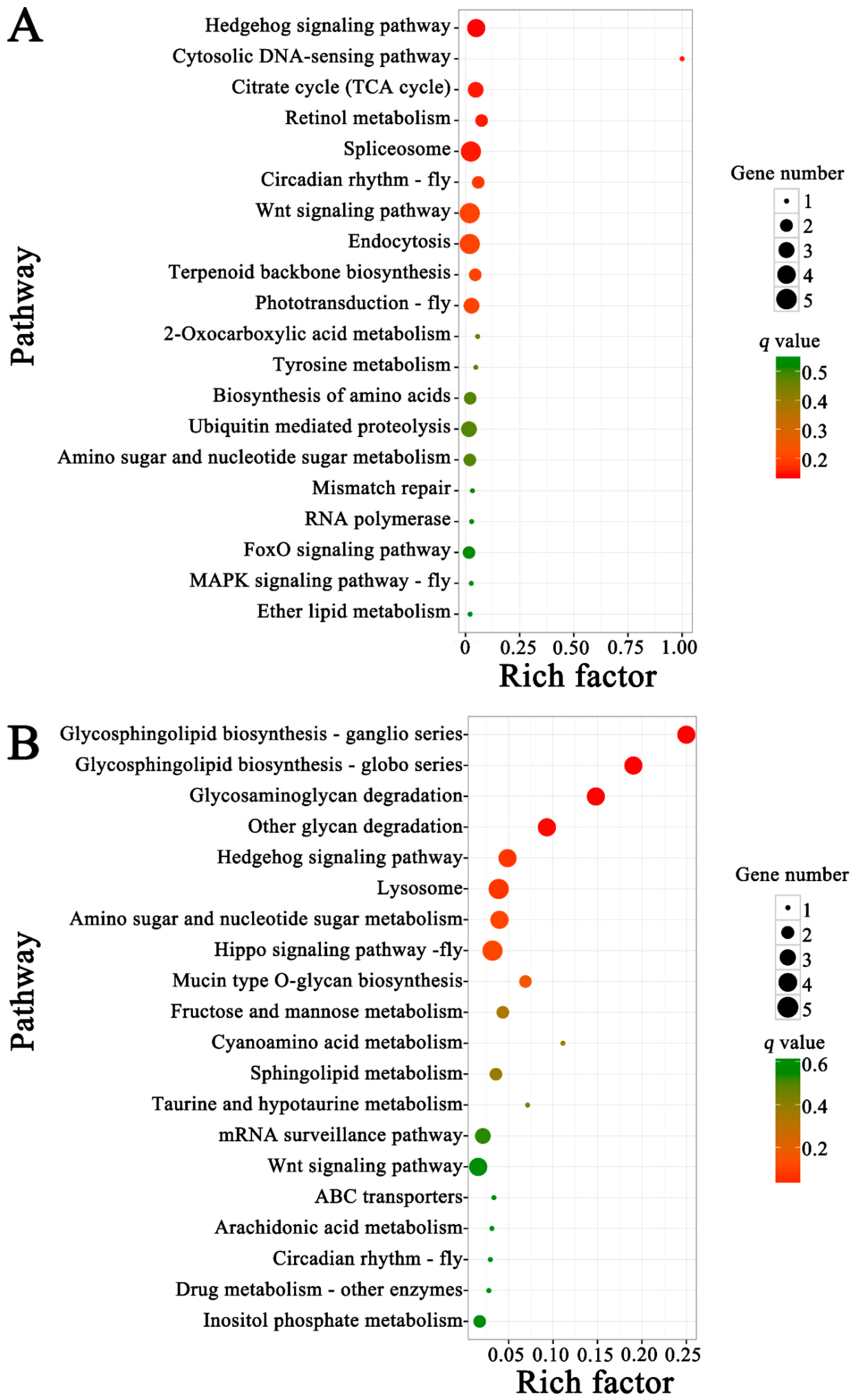 Insects 10 00245 g007 Insects 10 00245 g007
