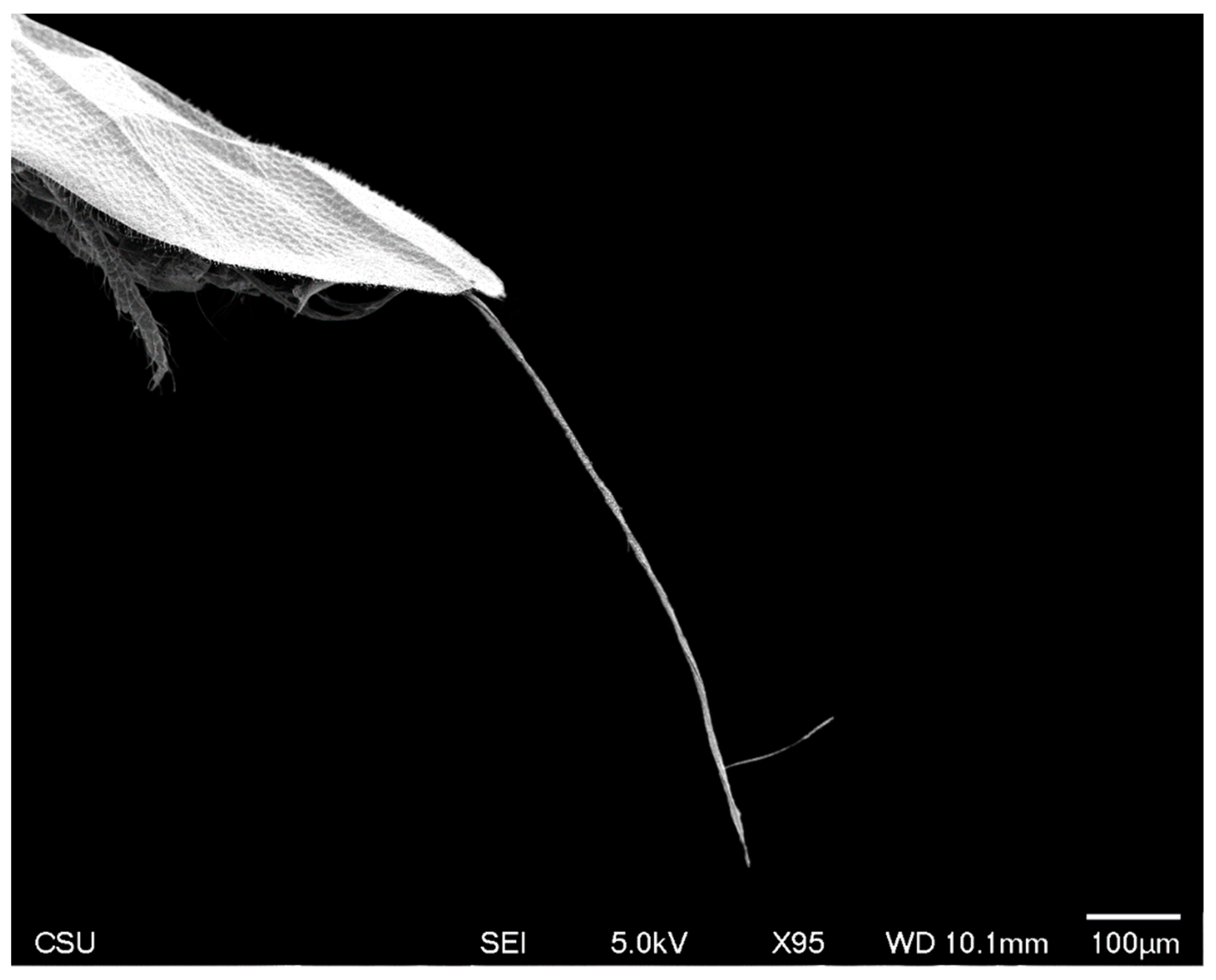 Insects 10 00250 g009 Insects 10 00250 g009