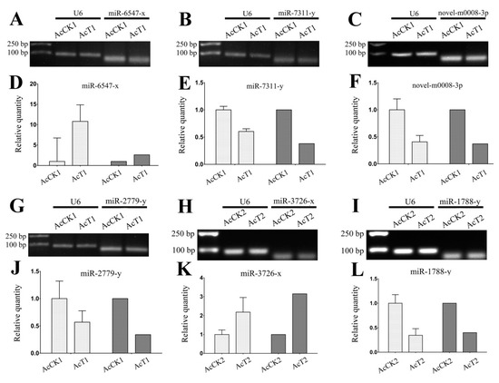 Insects Free Full Text Comparative Identification Of Micrornas In Apis Cerana Cerana Workers Midguts In Response To Nosema Ceranae Invasion Html Insects Free Full Text Comparative Identification Of Micrornas In Apis Cerana Cerana Workers Midguts In Response To Nosema Ceranae Invasion Html