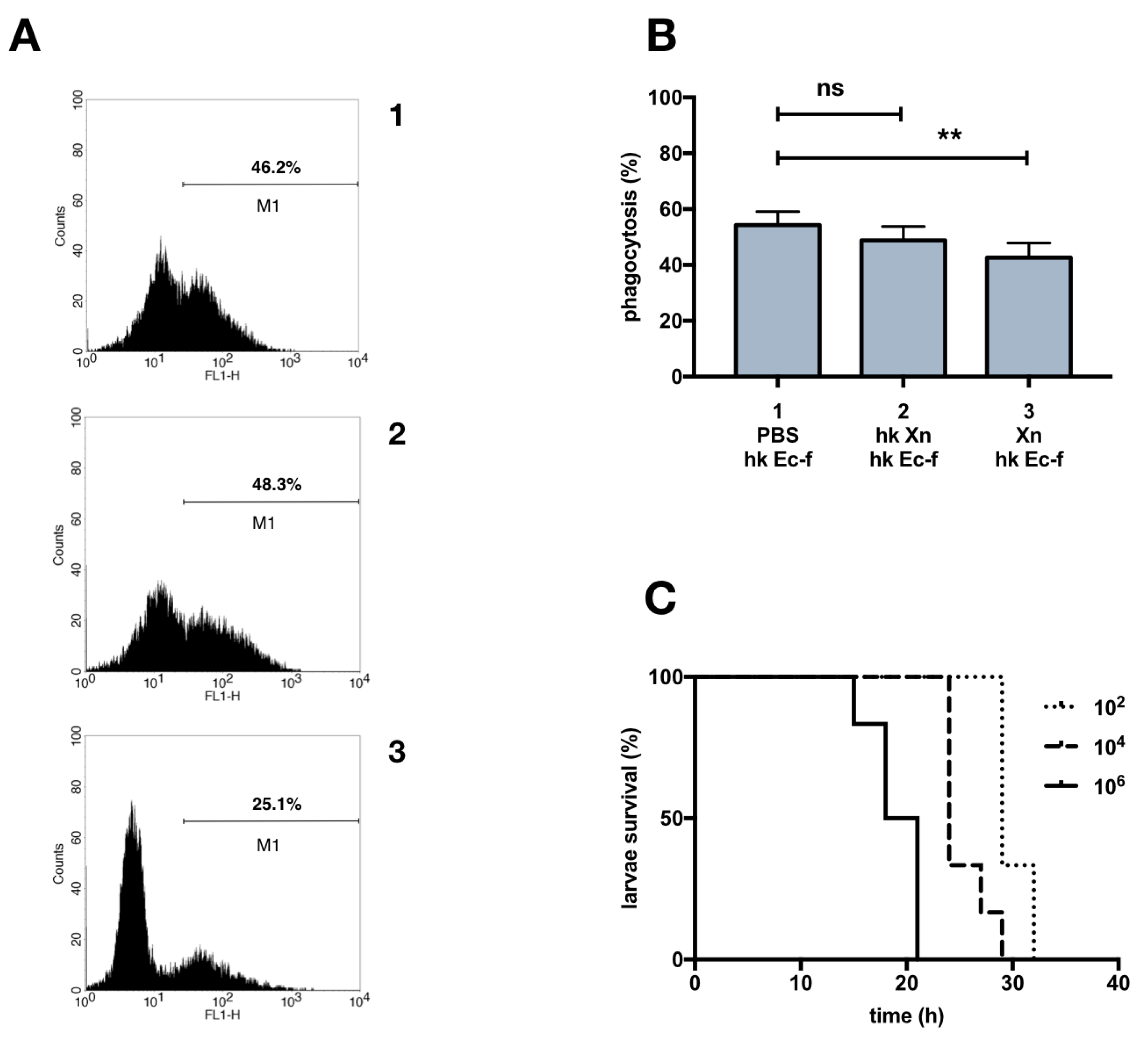 Insects 10 00263 g002
