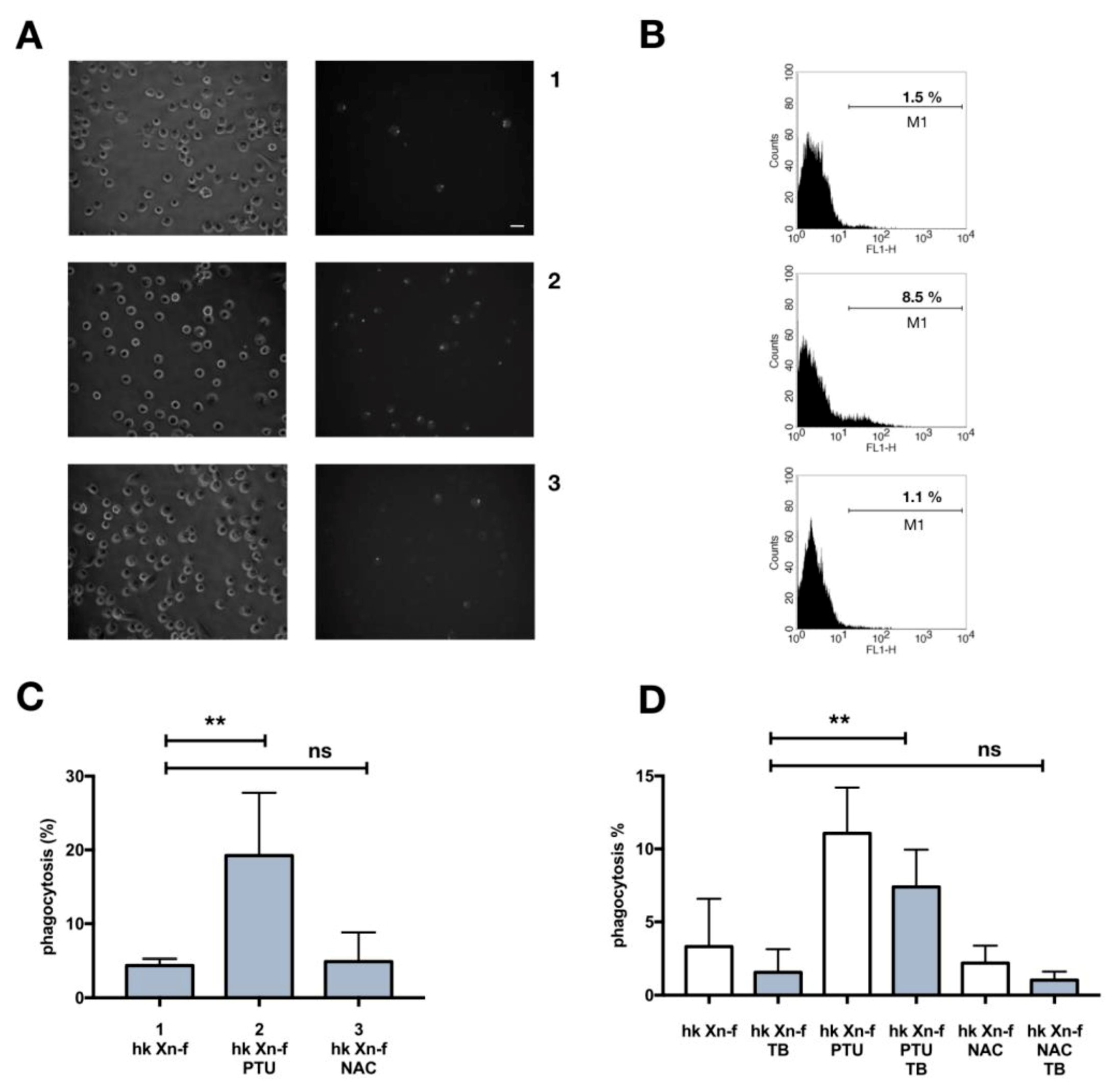 Insects 10 00263 g005