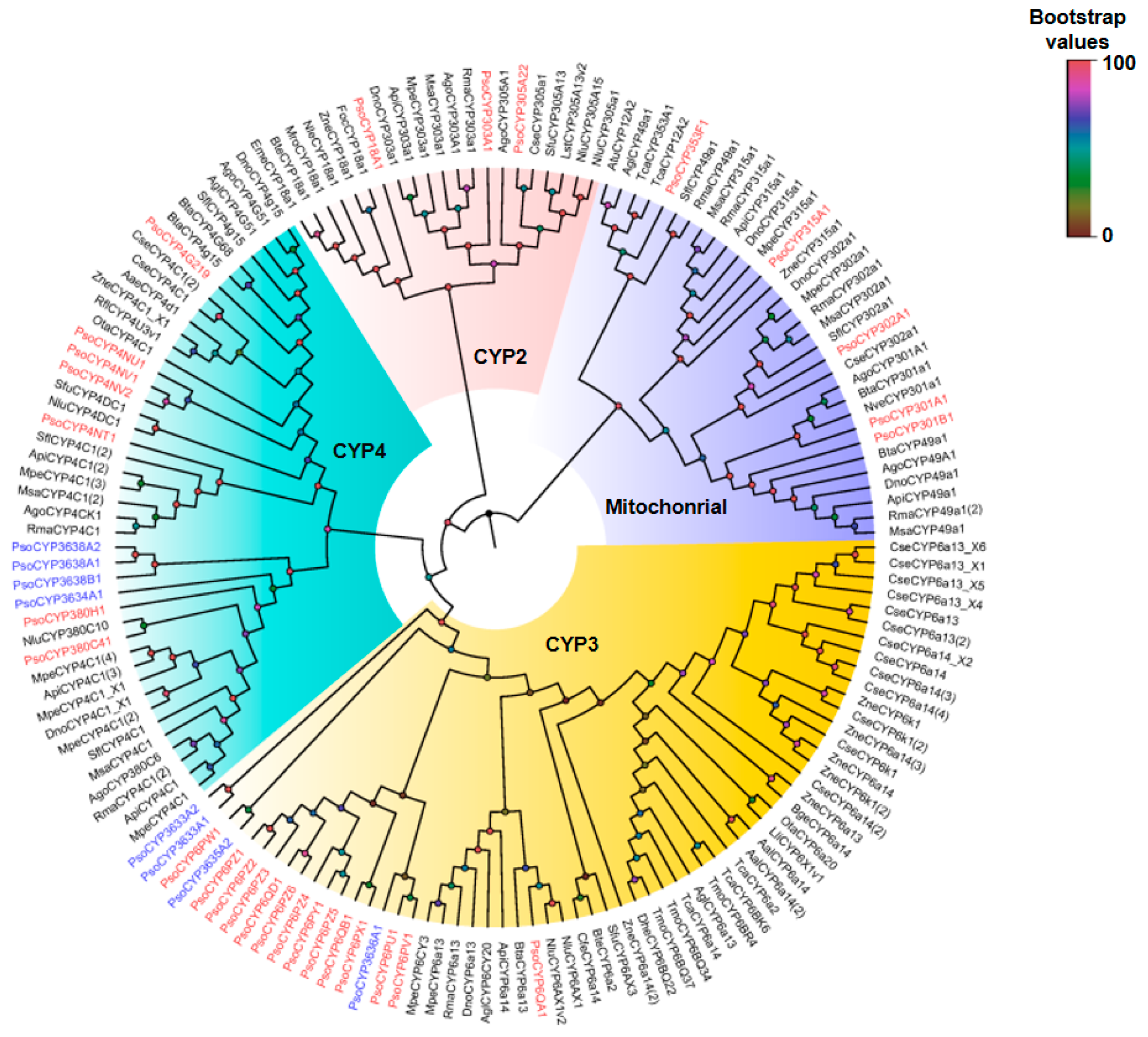 Insects 10 00264 g005 Insects 10 00264 g005