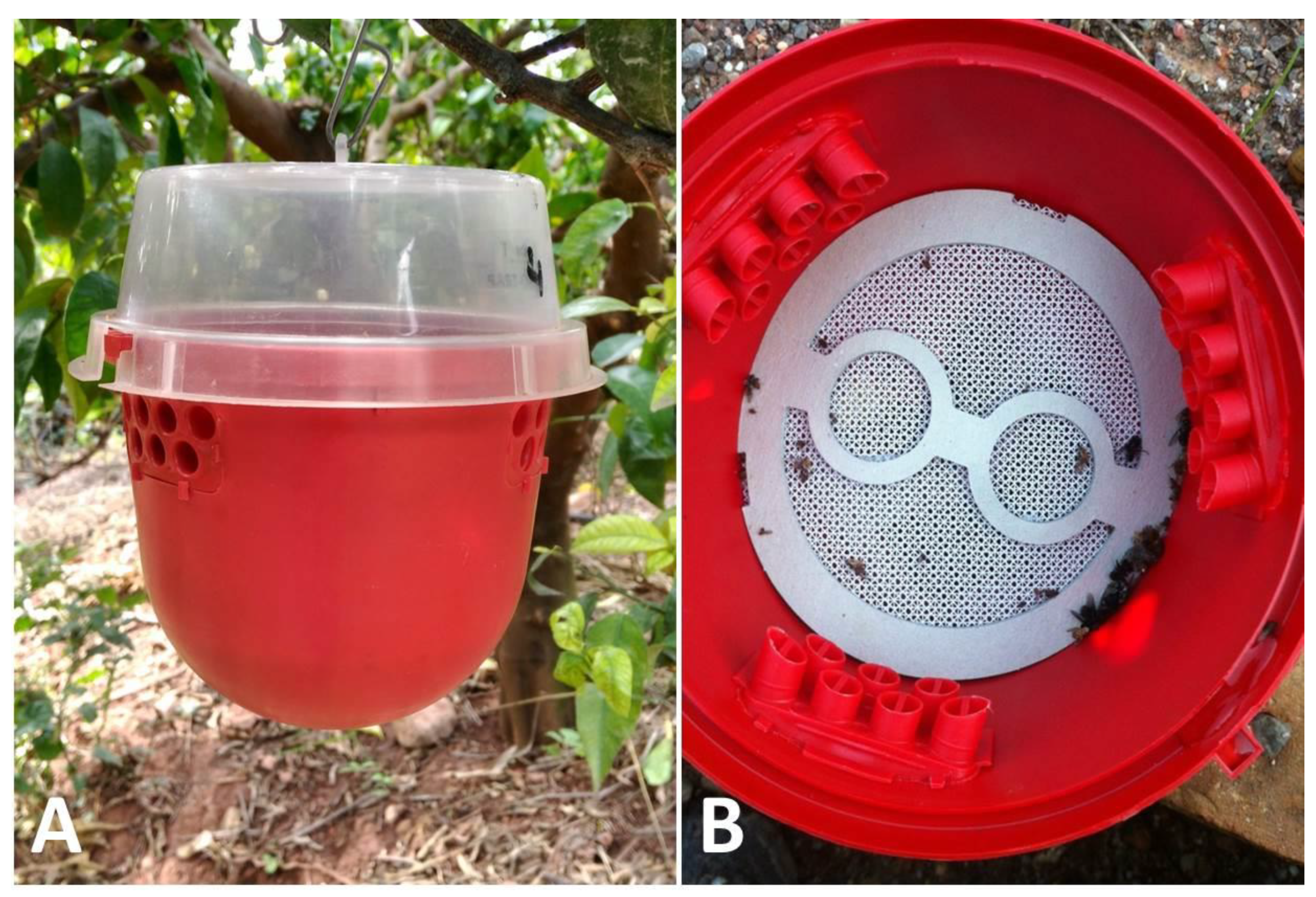 Insects 10 00268 g002