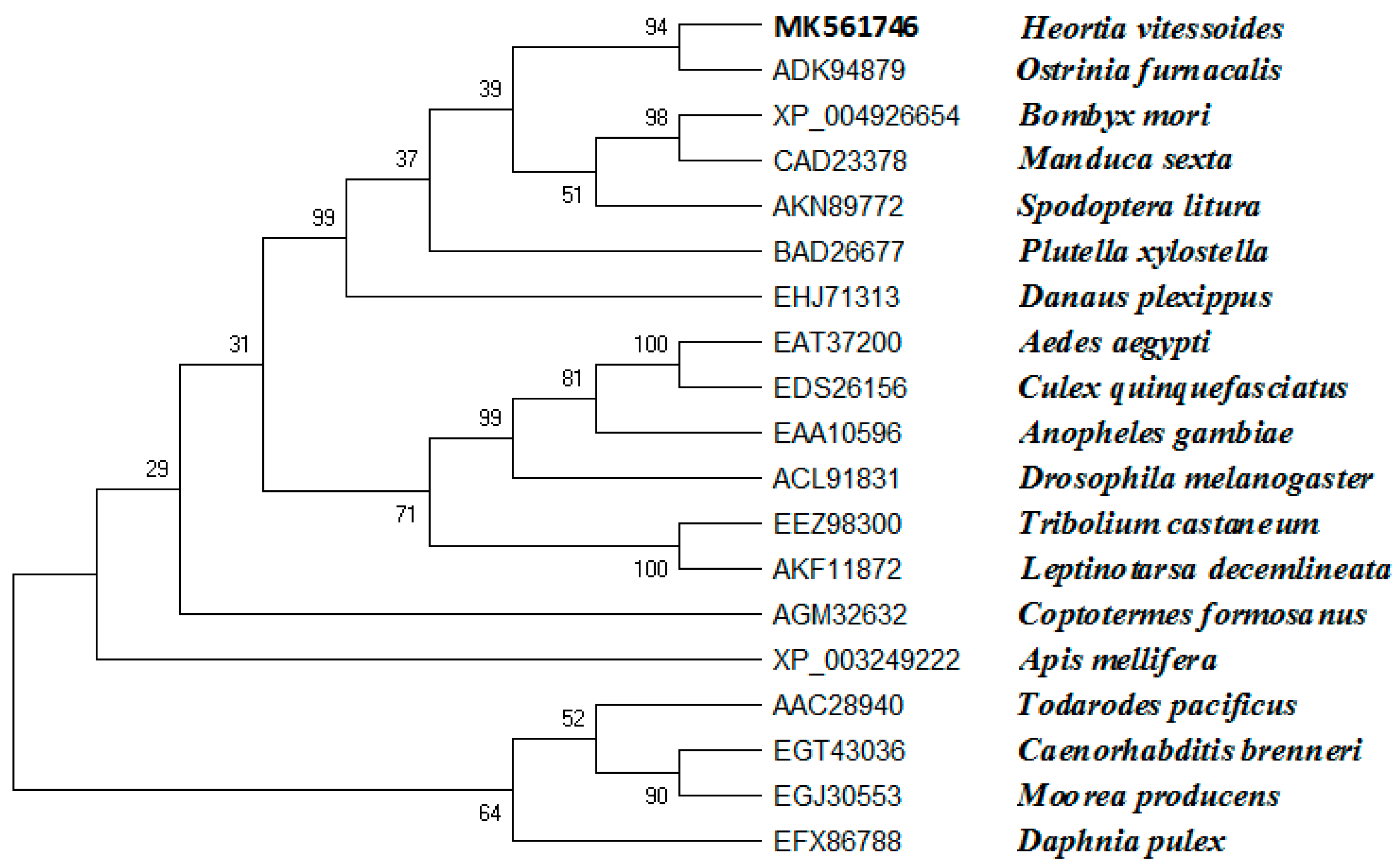 Insects 10 00278 g002