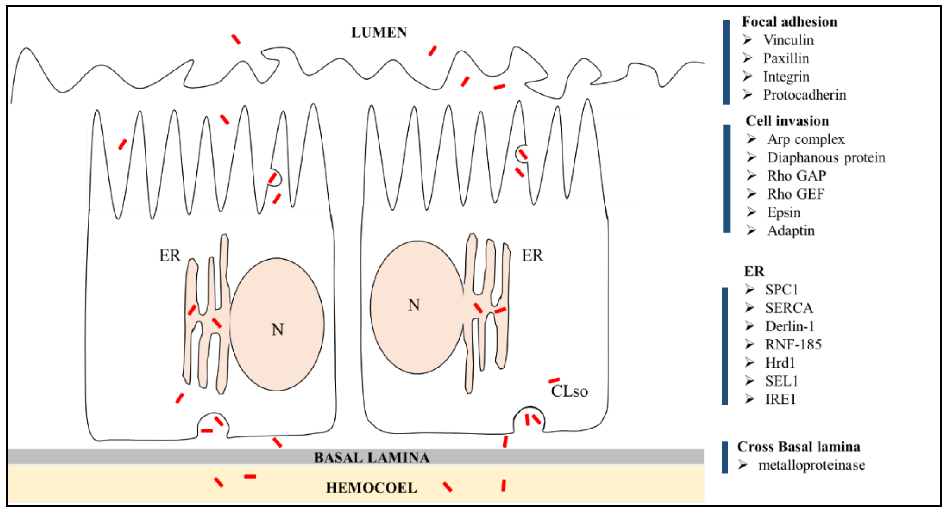 Insects 10 00279 g006 Insects 10 00279 g006
