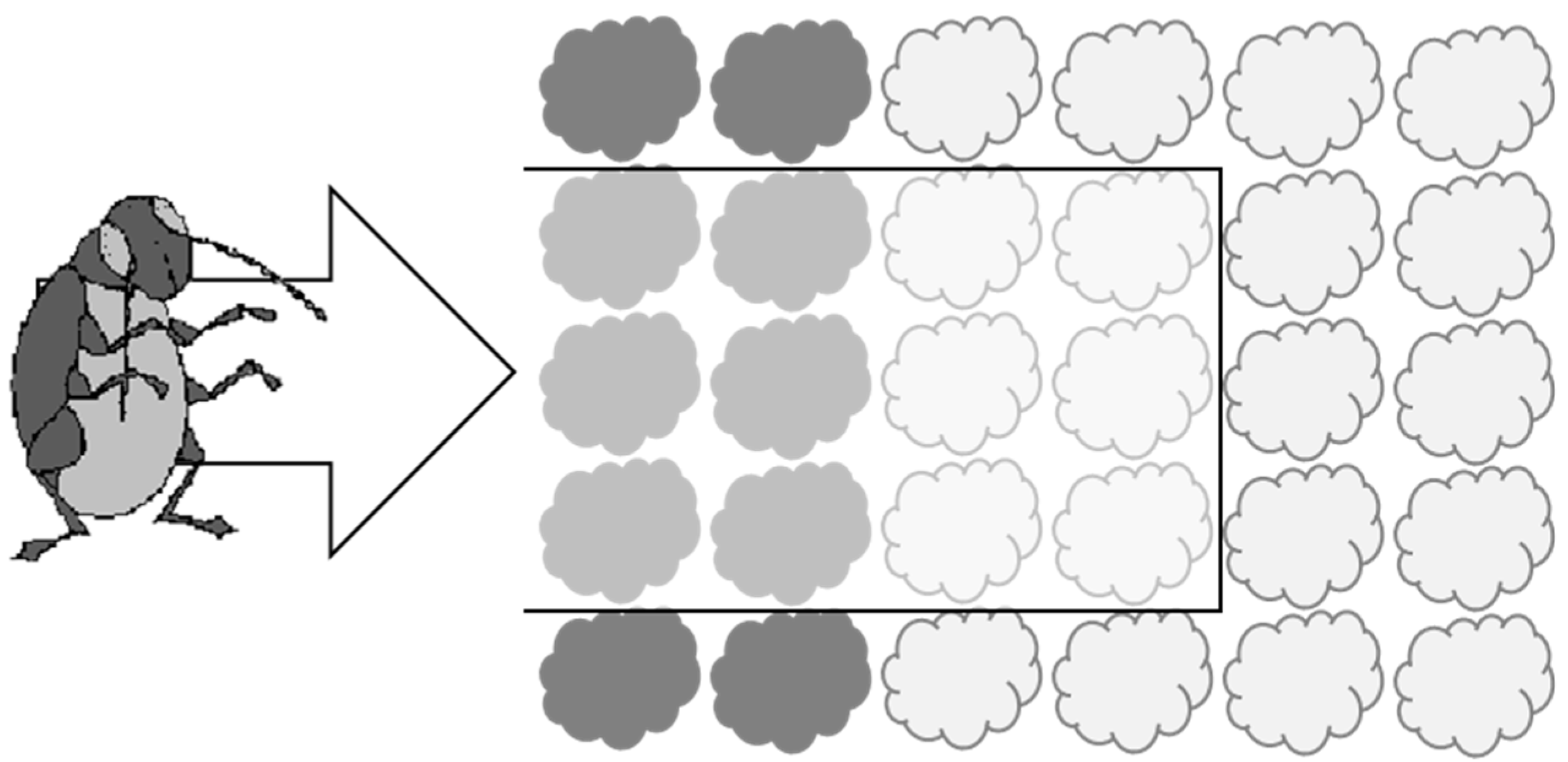 Insects 10 00286 g001 Insects 10 00286 g001