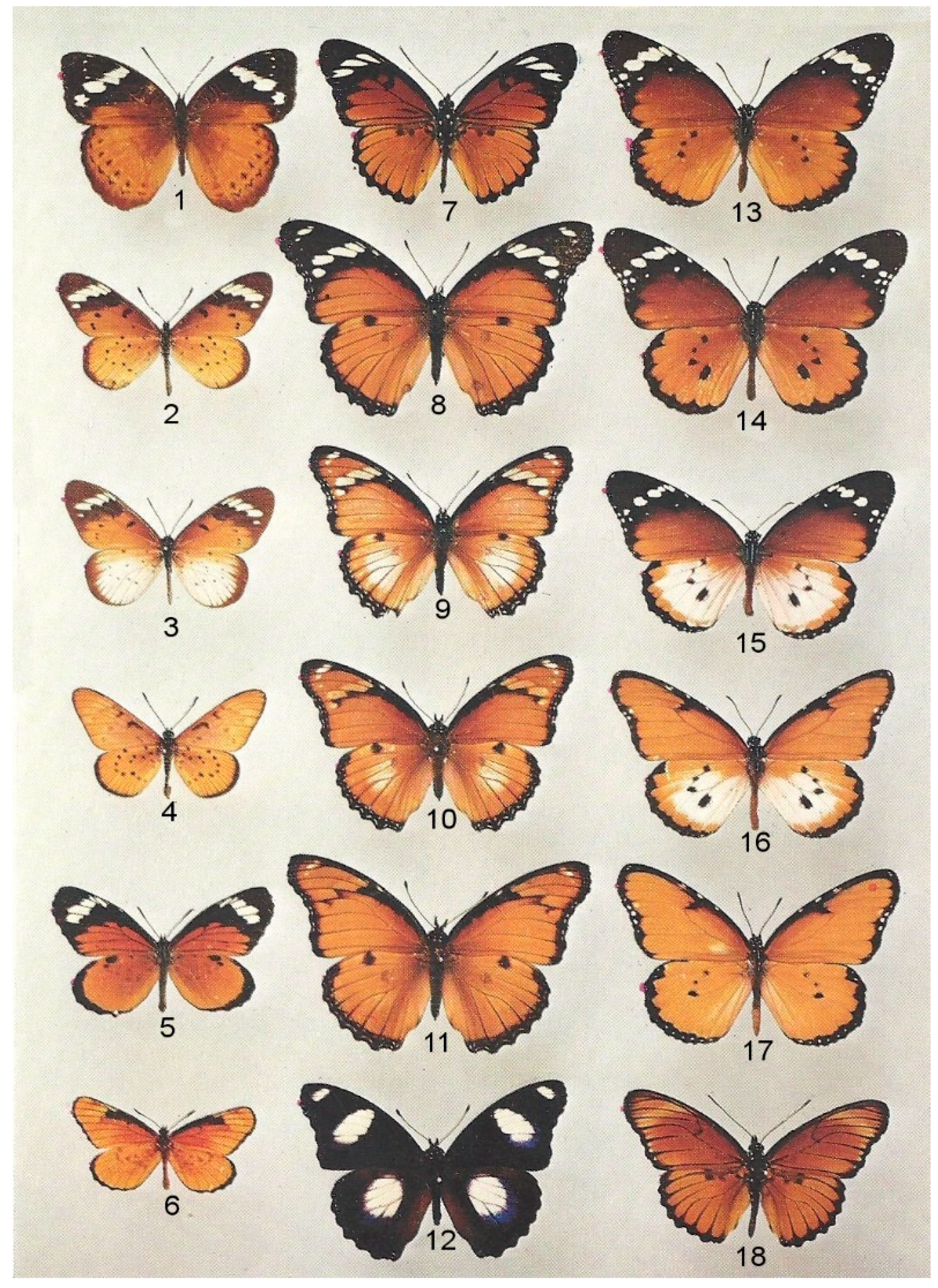 Insects 10 00291 g003 Insects 10 00291 g003