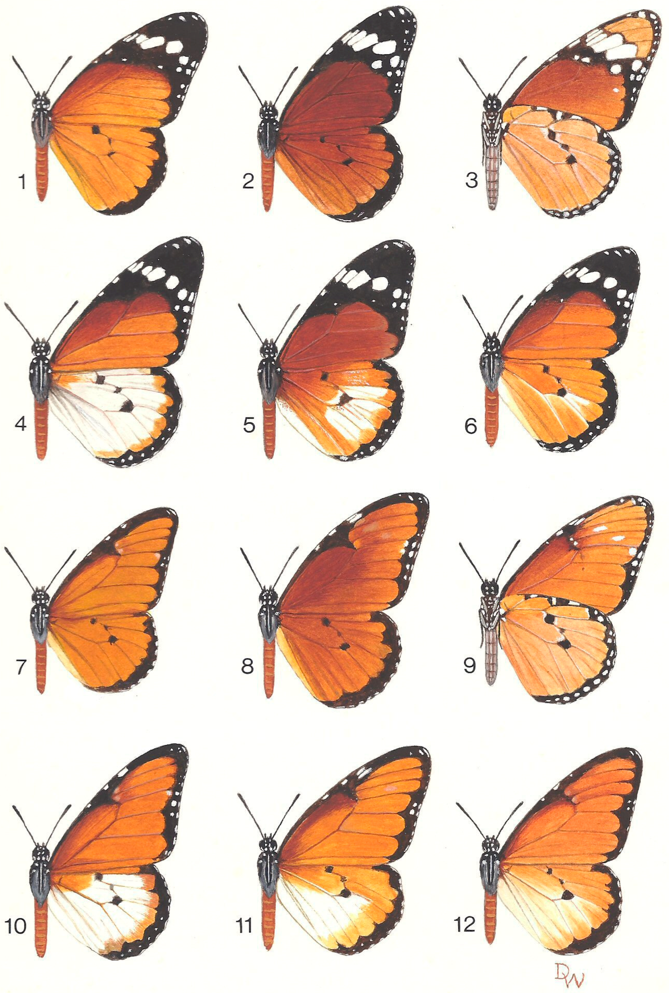 Insects 10 00291 g004 Insects 10 00291 g004