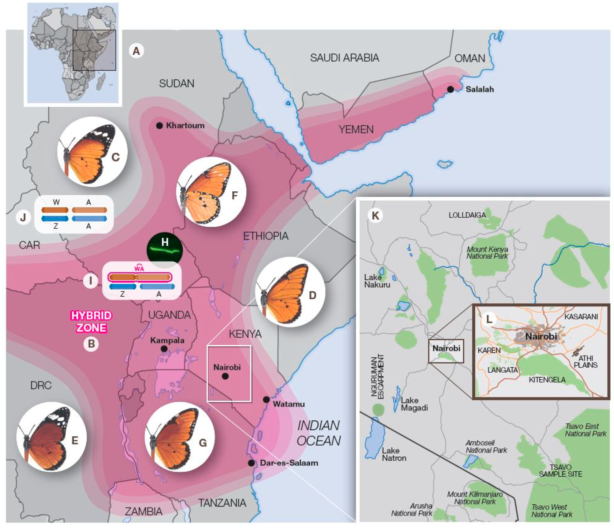 Insects 10 00291 g006 Insects 10 00291 g006