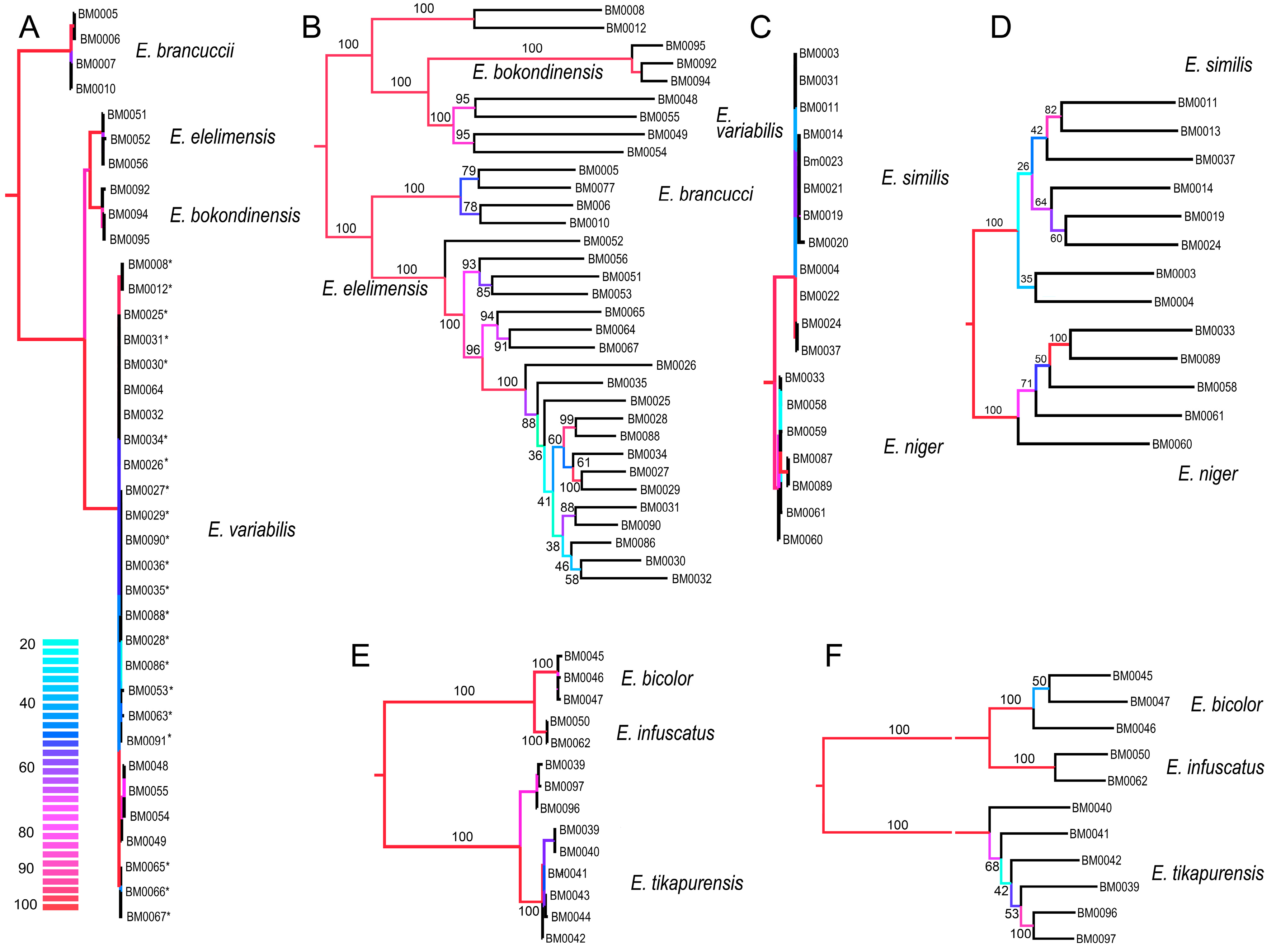 Insects 10 00295 g004 Insects 10 00295 g004