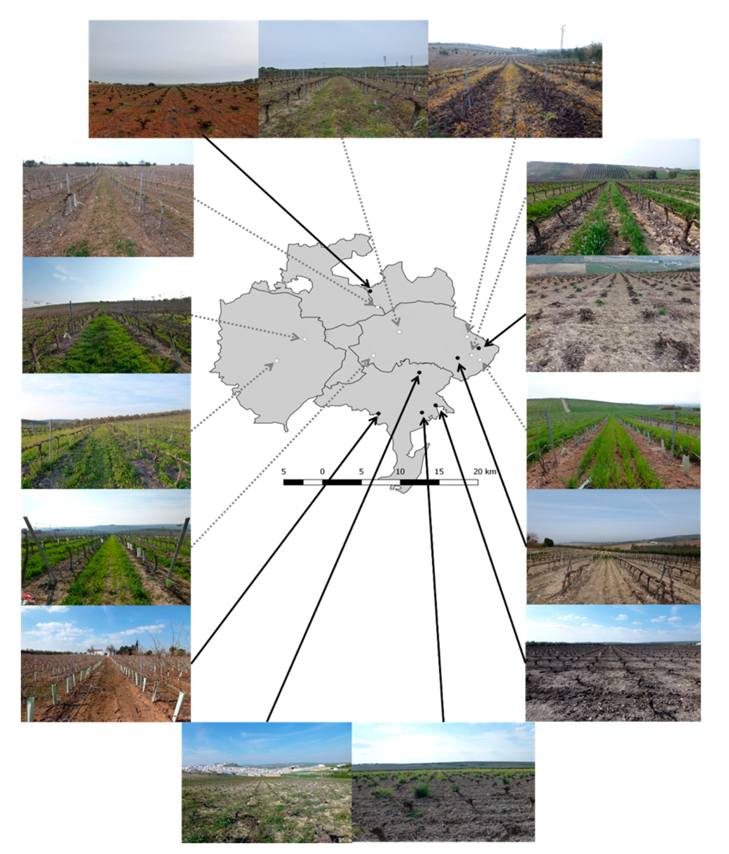 Insects 10 00320 g001 Insects 10 00320 g001