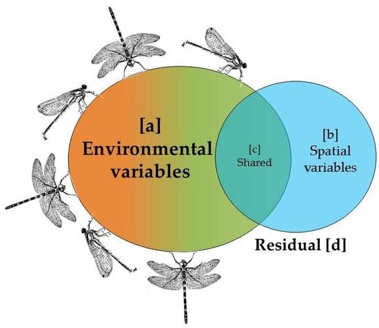 Insects Free Full Text Structuring Of Dragonfly Communities Insecta Odonata In Eastern Amazon Effects Of Environmental And Spatial Factors In Preserved And Altered Streams Html