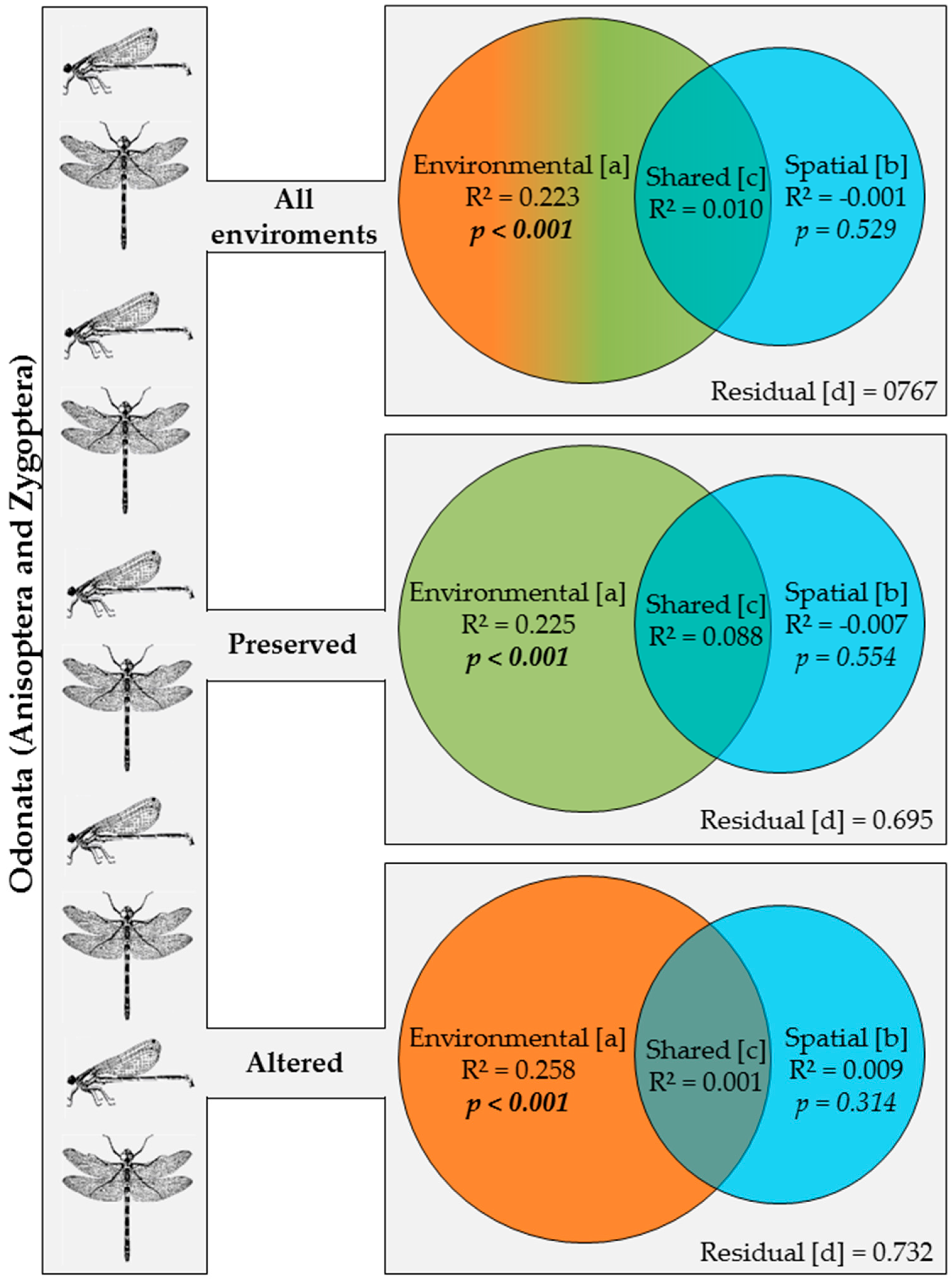 Insects 10 00322 g003