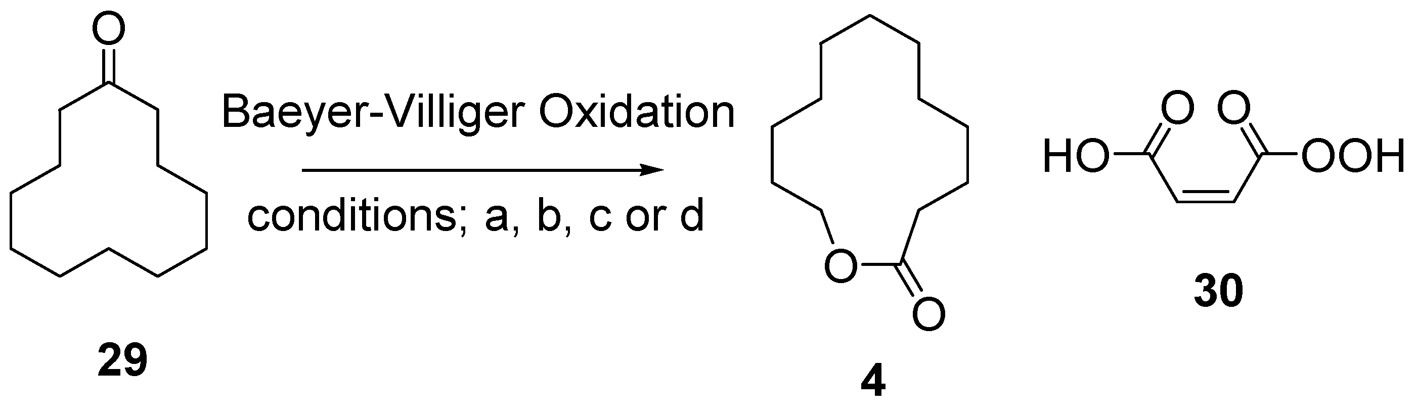 Insects 10 00323 sch006 Insects 10 00323 sch006