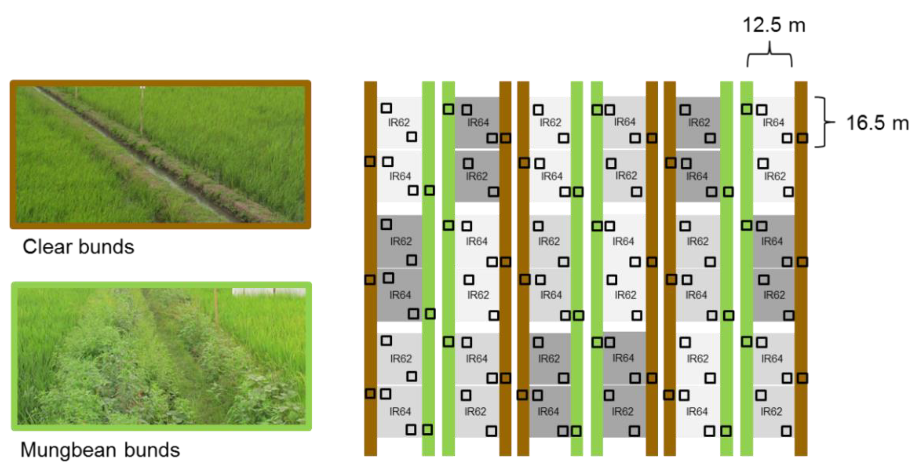 Insects 10 00328 g002