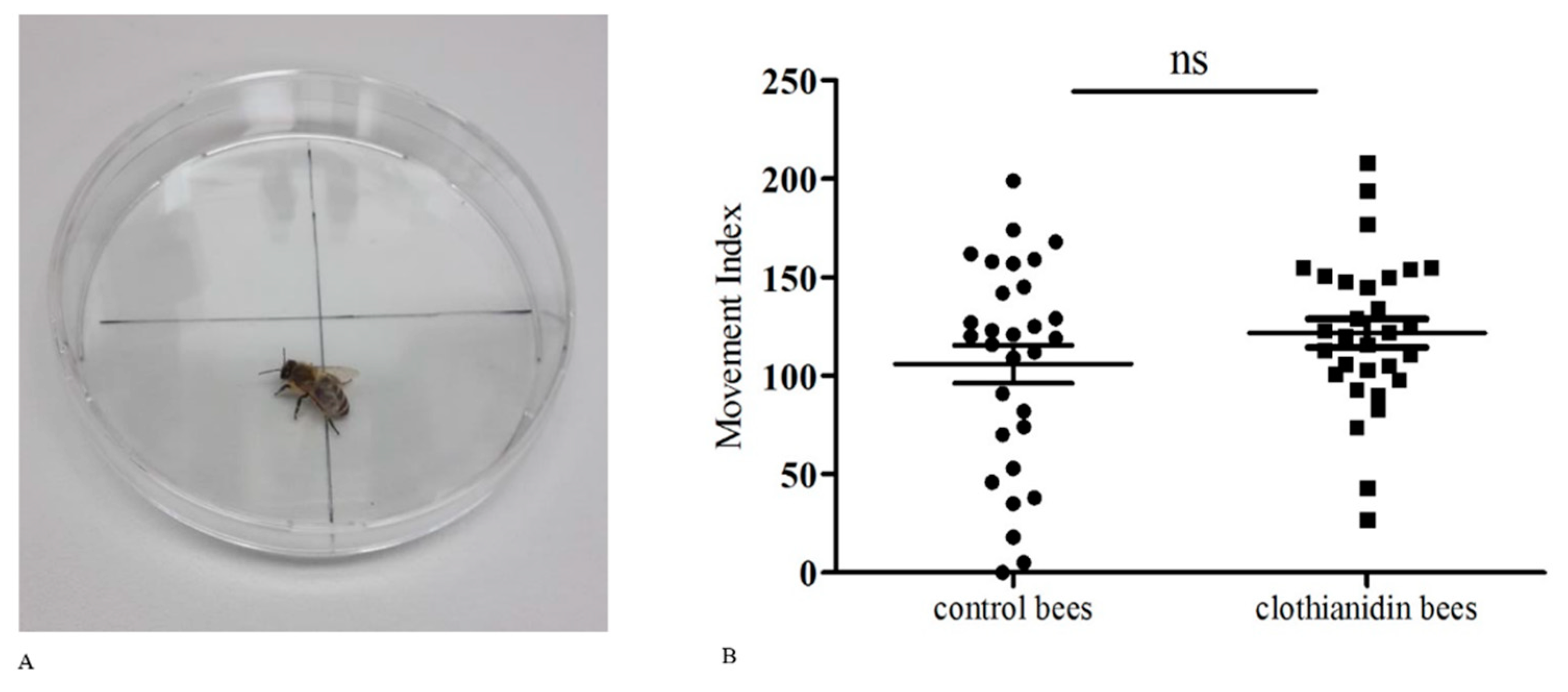 Insects 10 00340 g002