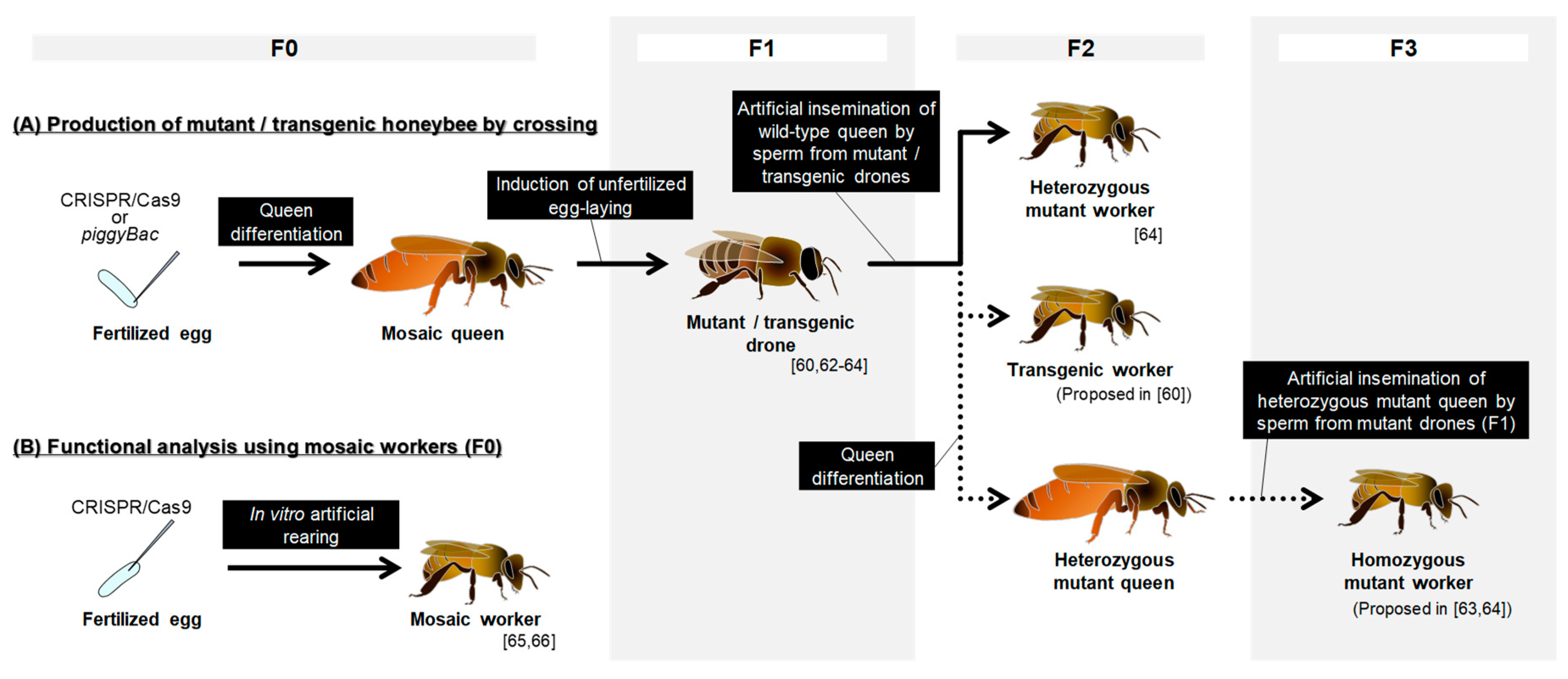 Game set user interface of honey bee setting menu Vector Image