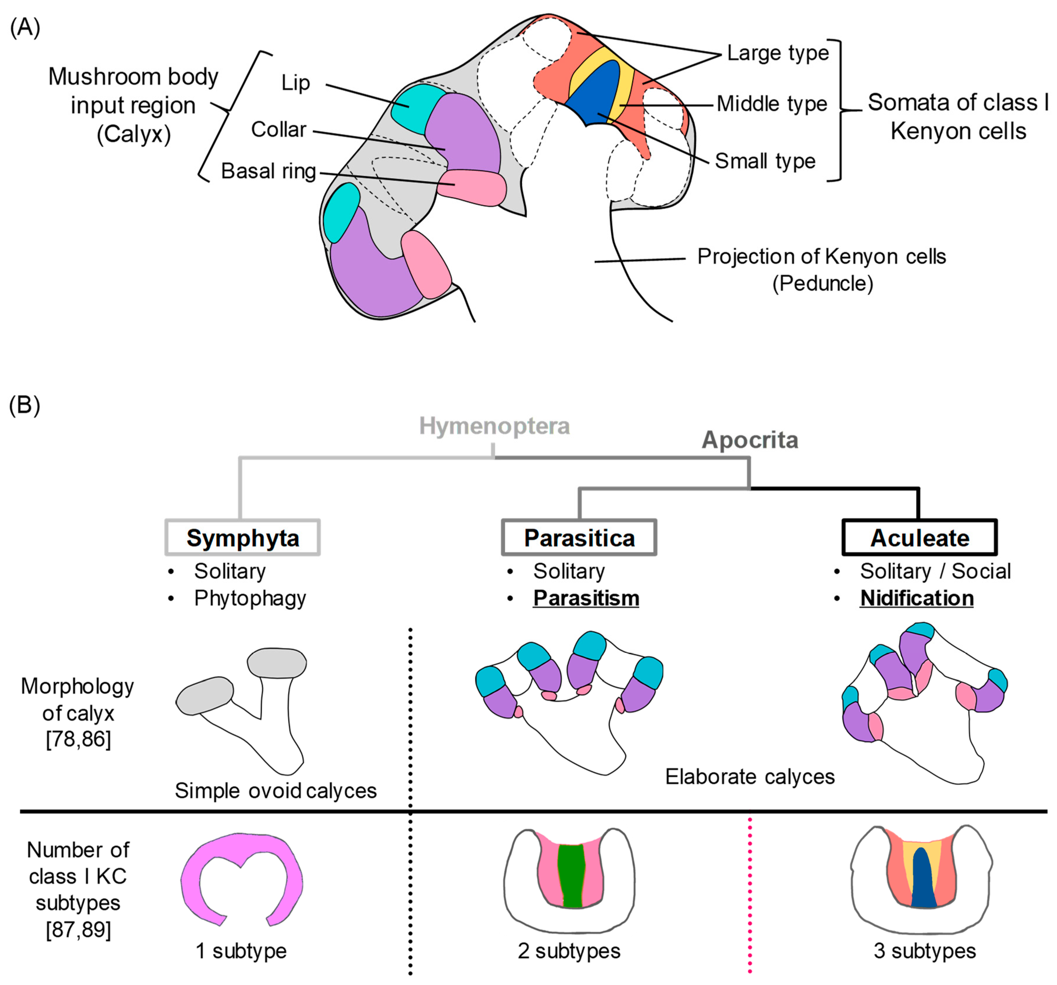 Insects 10 00348 g002 Insects 10 00348 g002