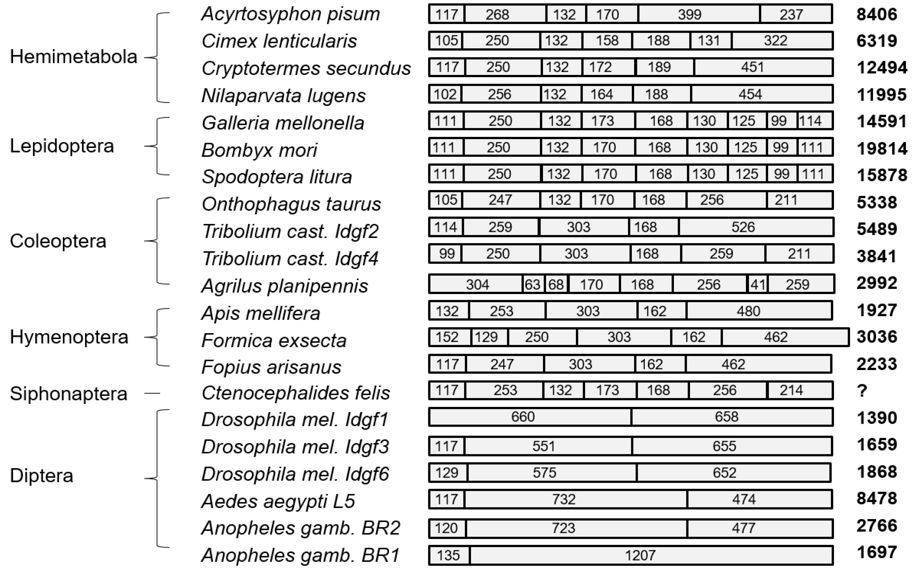 Insects 10 00365 g001
