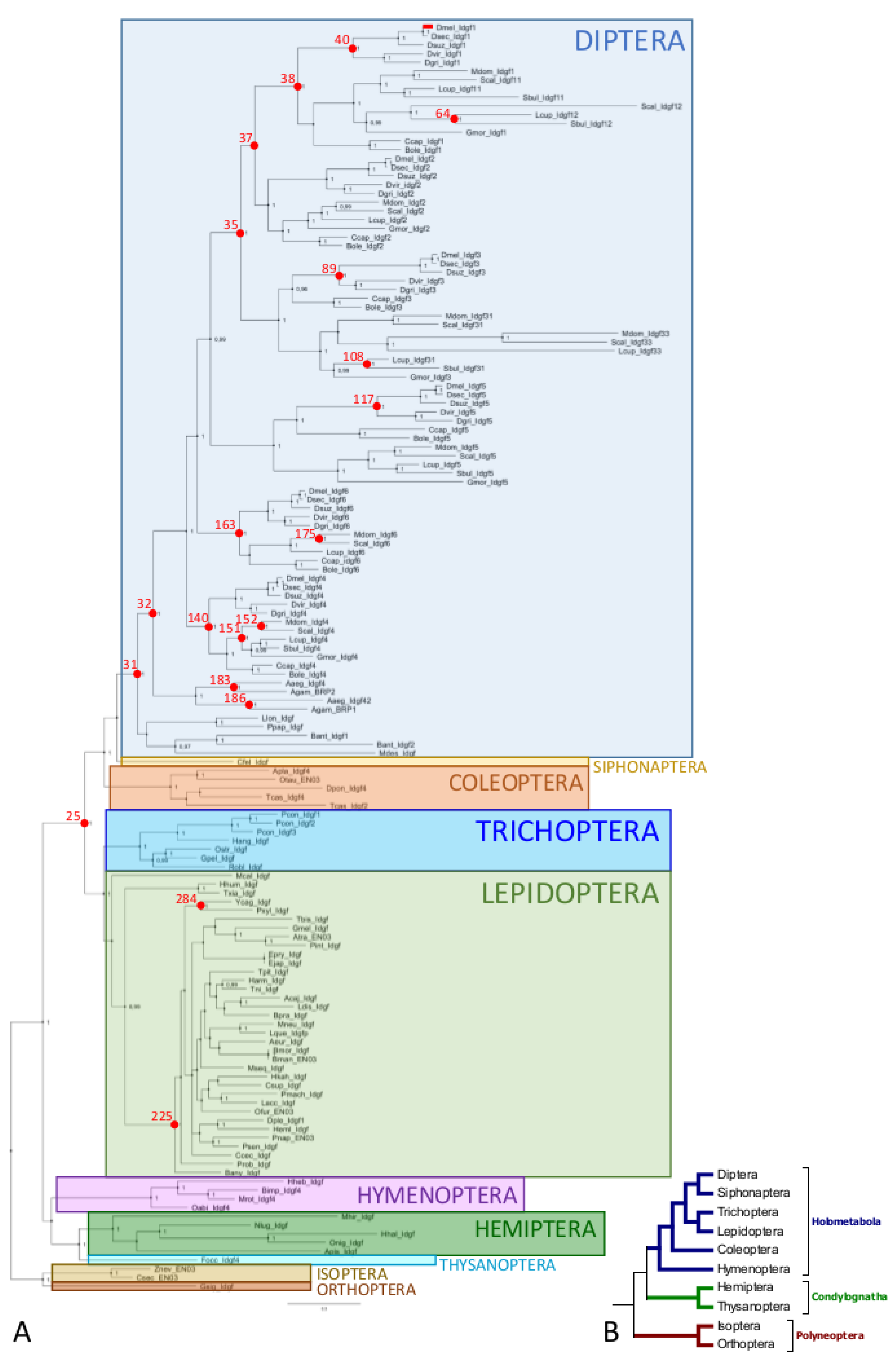 Insects 10 00365 g002