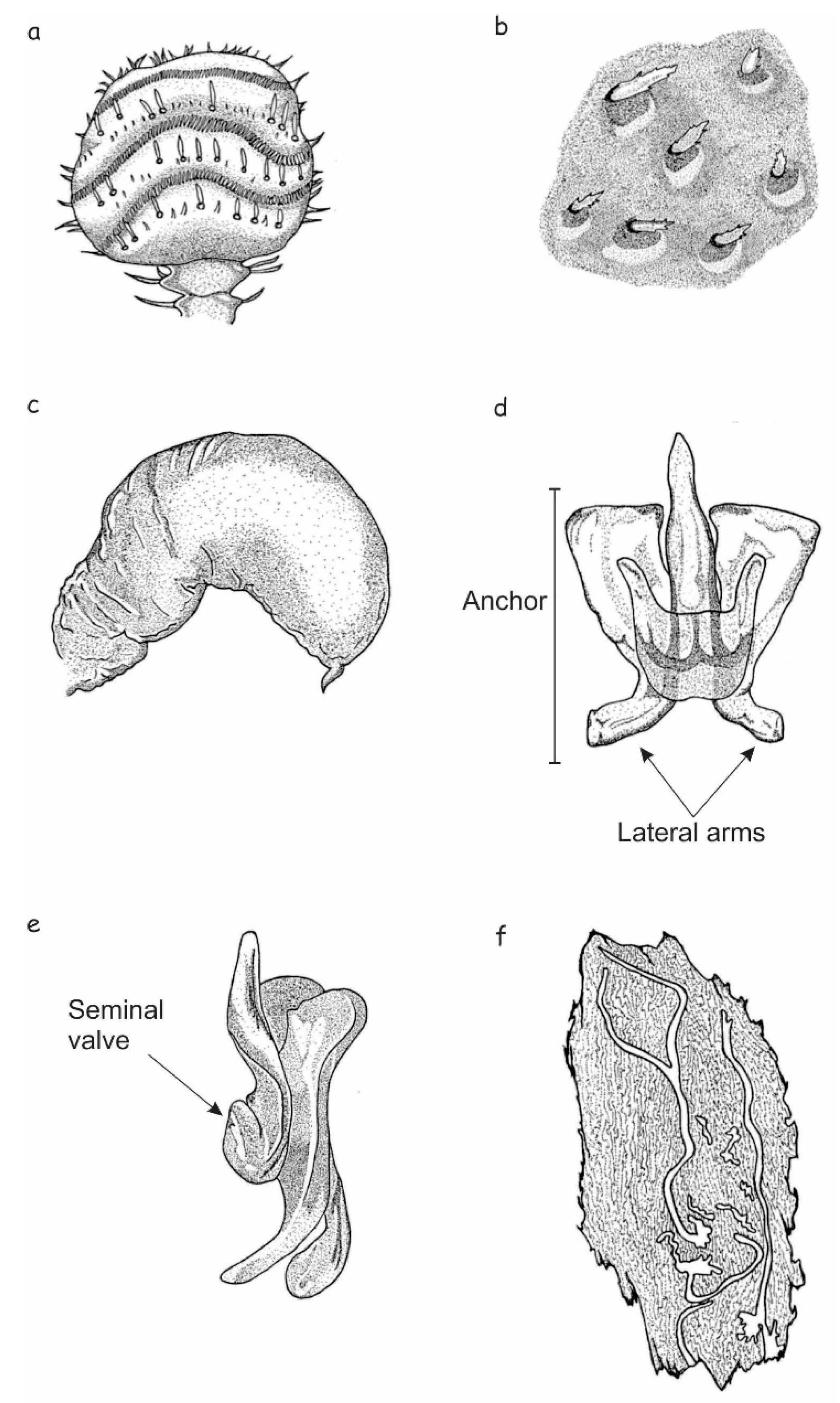 Insects 10 00377 g010
