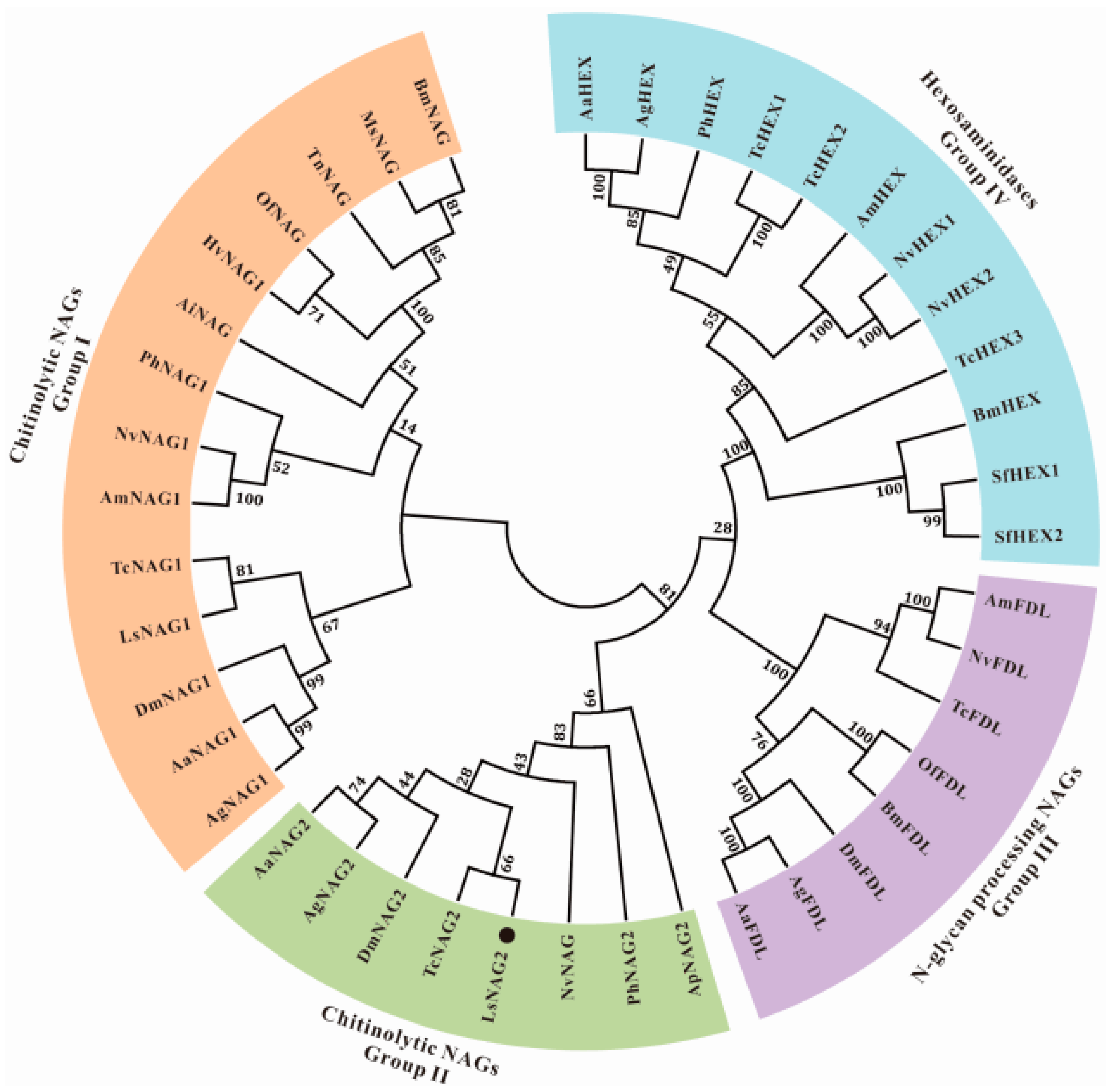 Insects 10 00396 g002