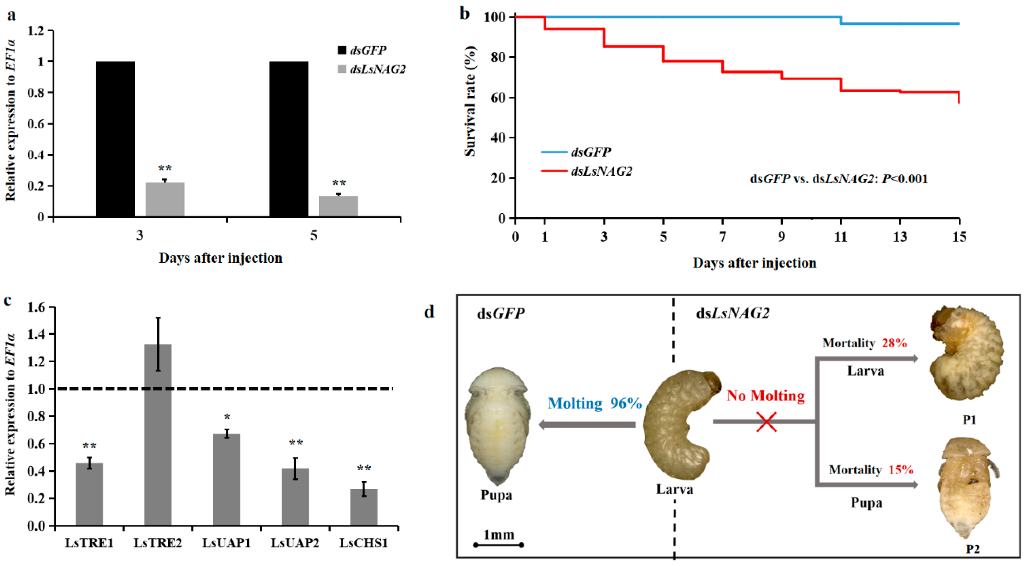 Insects 10 00396 g004