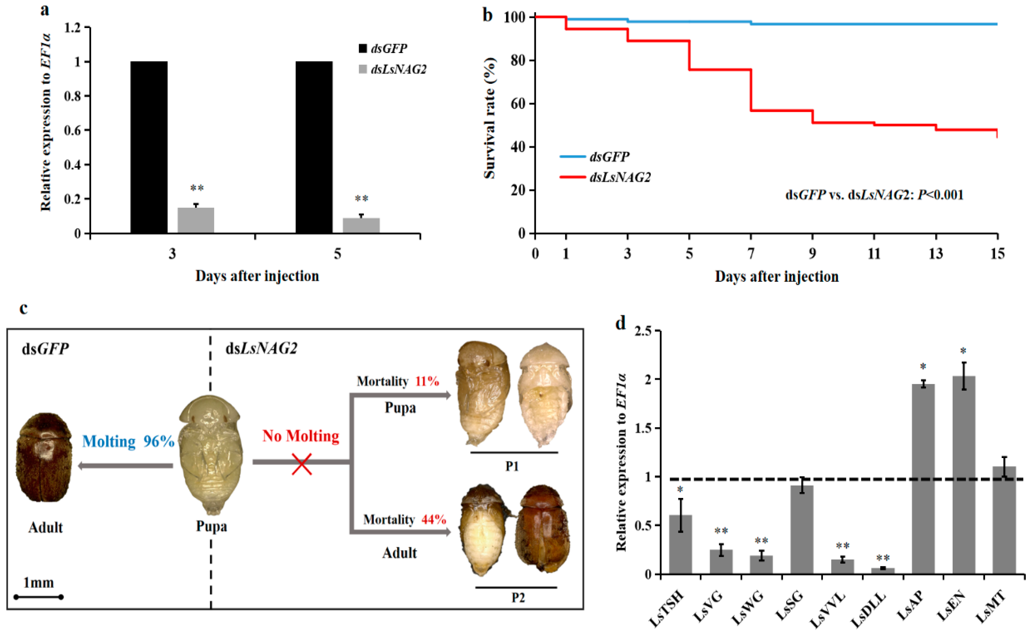 Insects 10 00396 g005