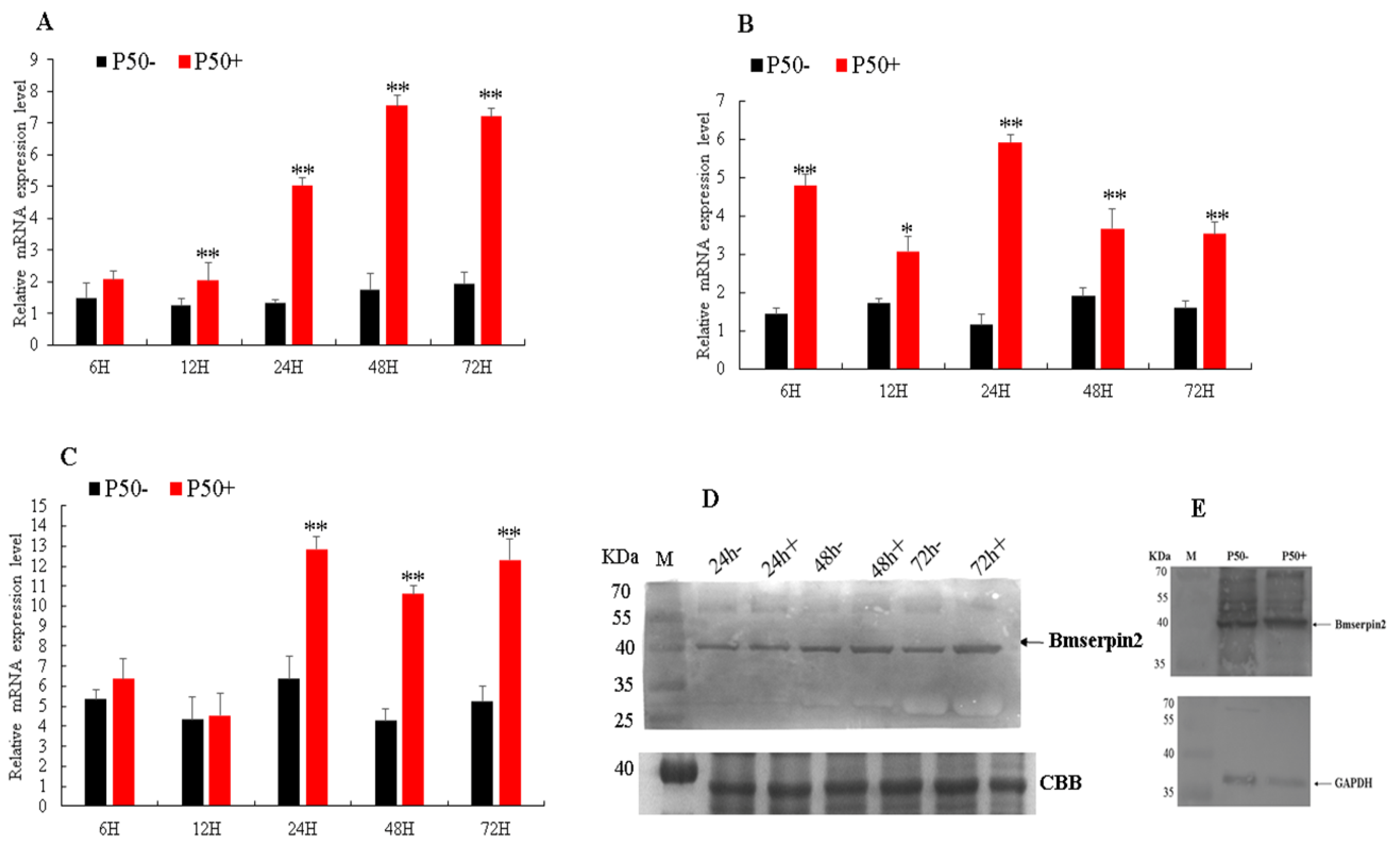 Insects 10 00399 g003 Insects 10 00399 g003