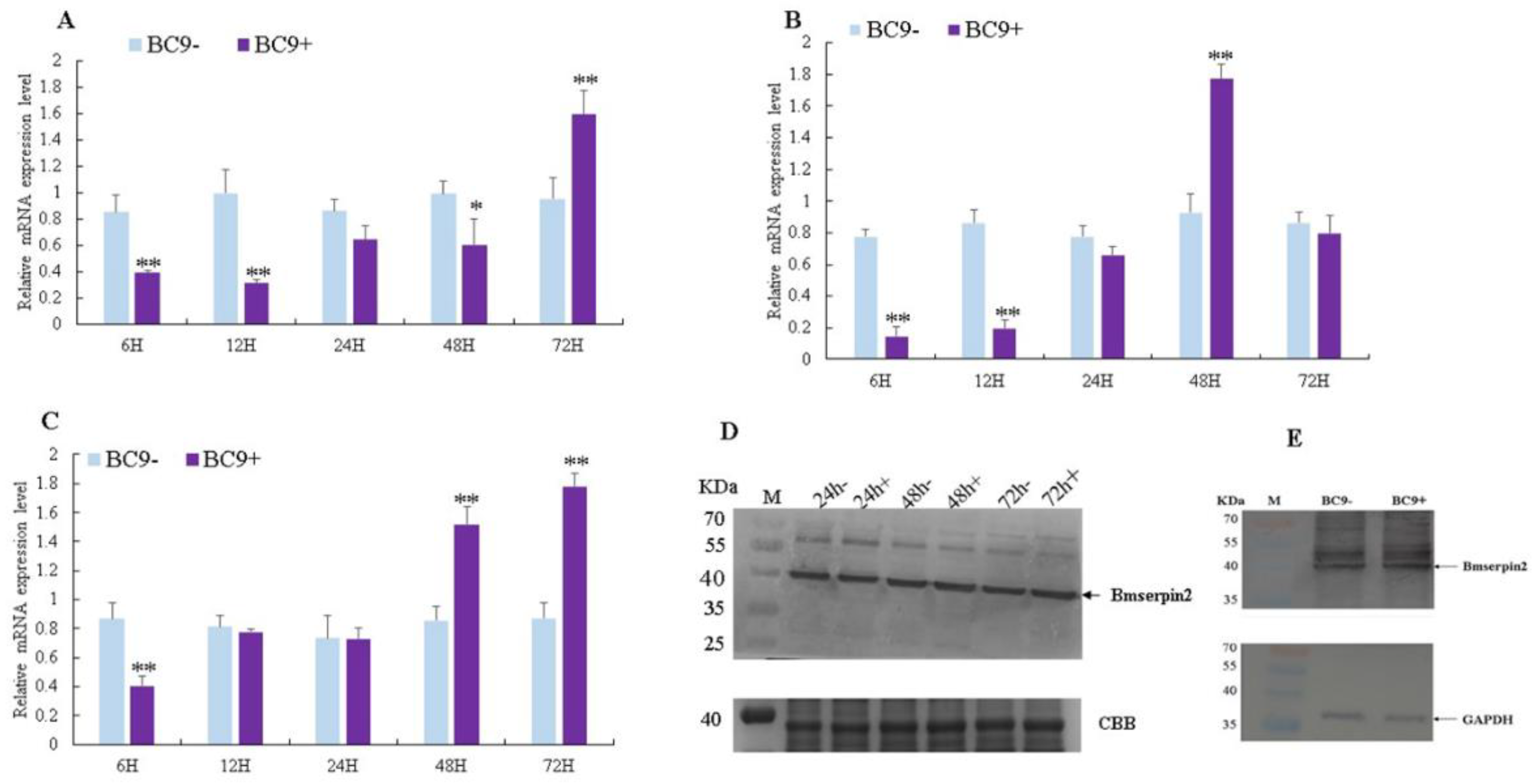 Insects 10 00399 g004 Insects 10 00399 g004