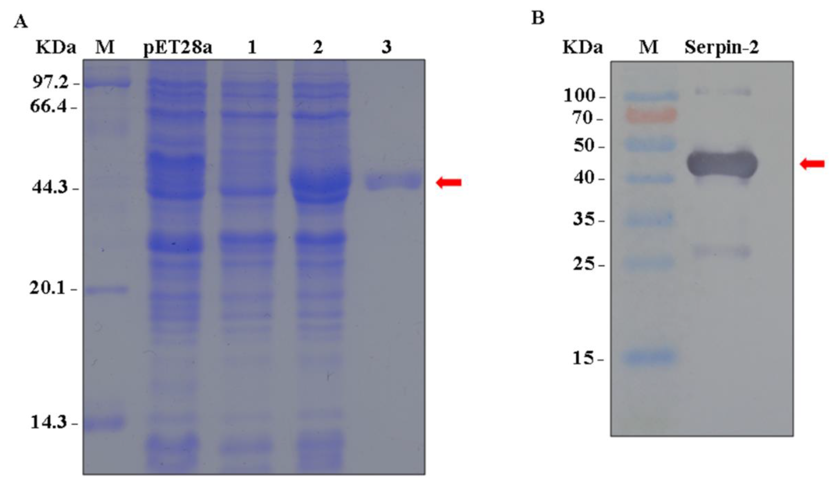 Insects 10 00399 g005 Insects 10 00399 g005