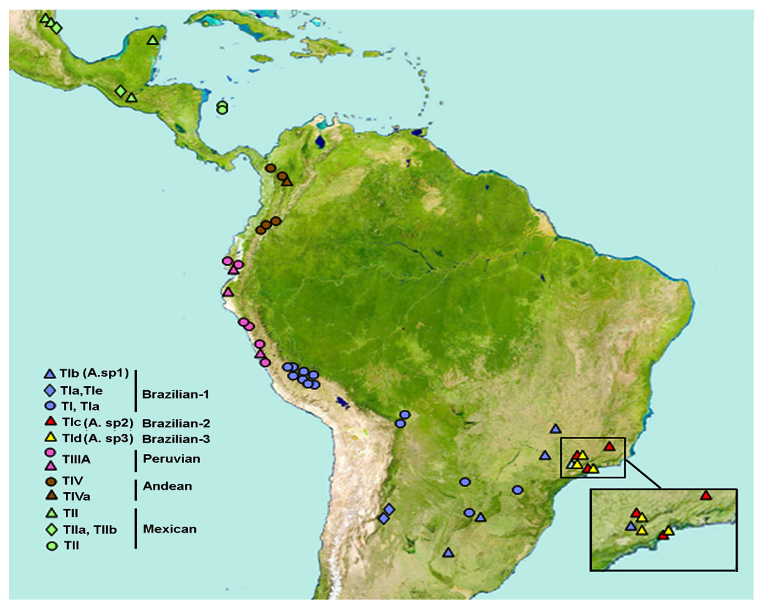 Insects 10 00408 g010 Insects 10 00408 g010