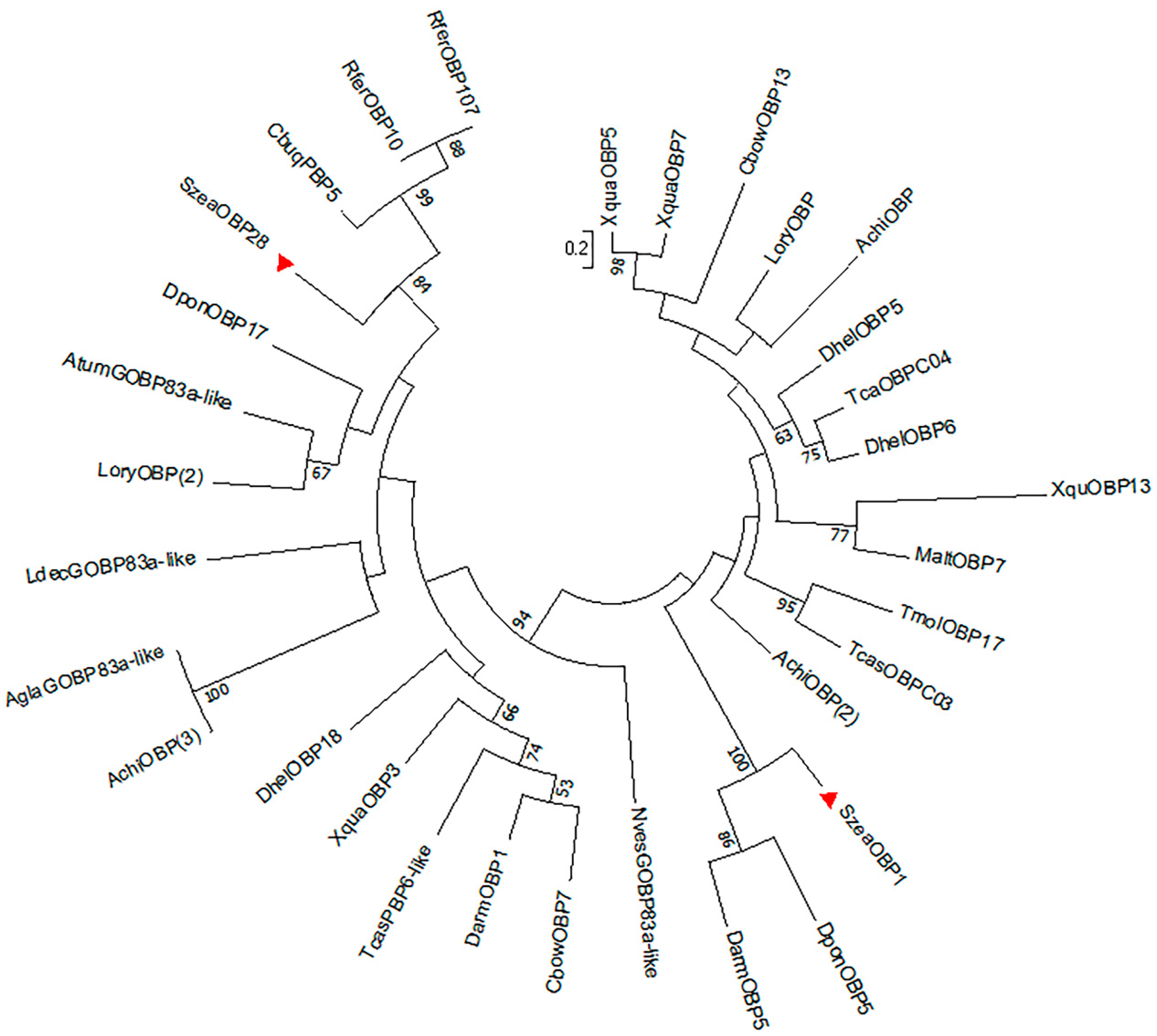 Insects 10 00409 g003 Insects 10 00409 g003