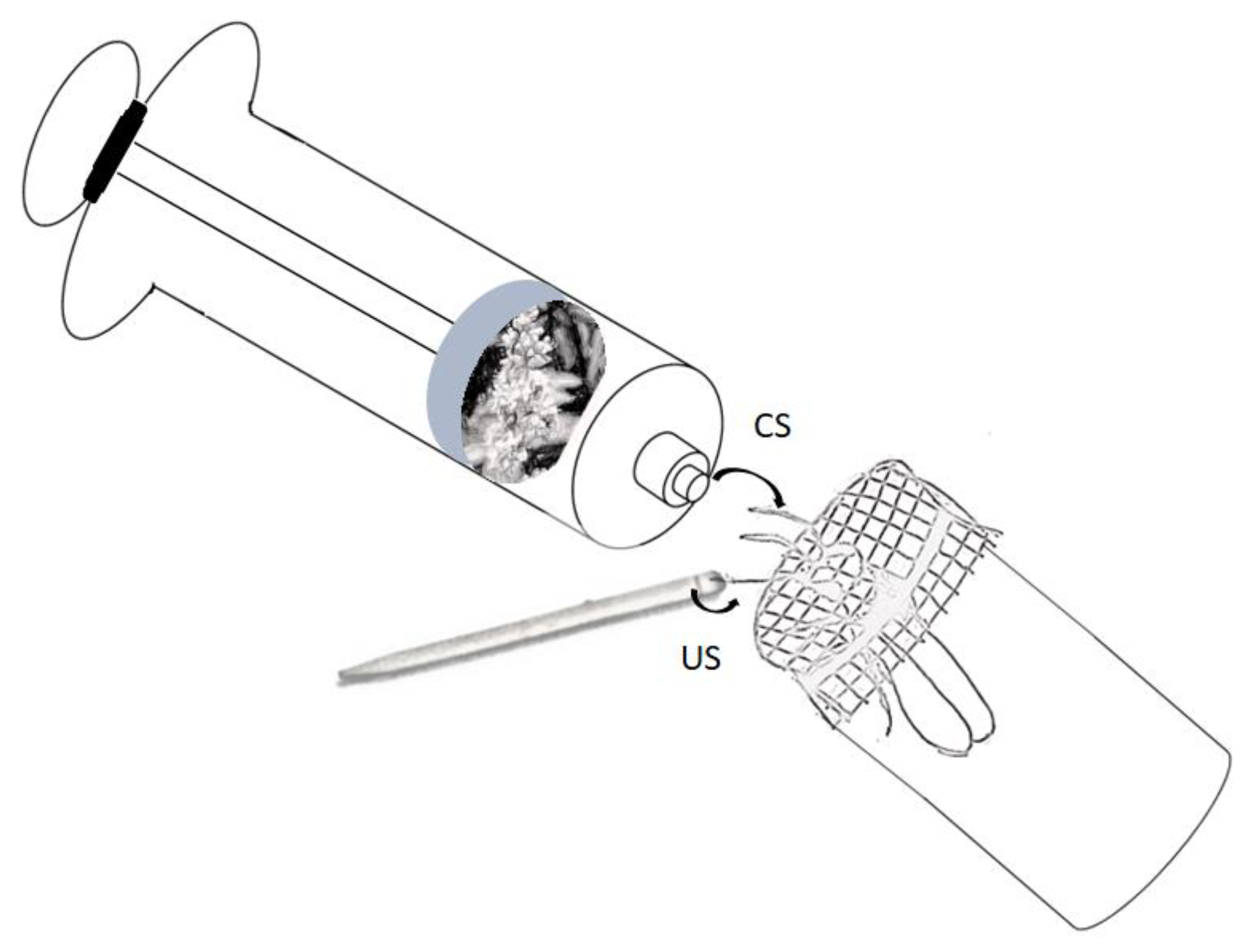 Insects 10 00412 g001