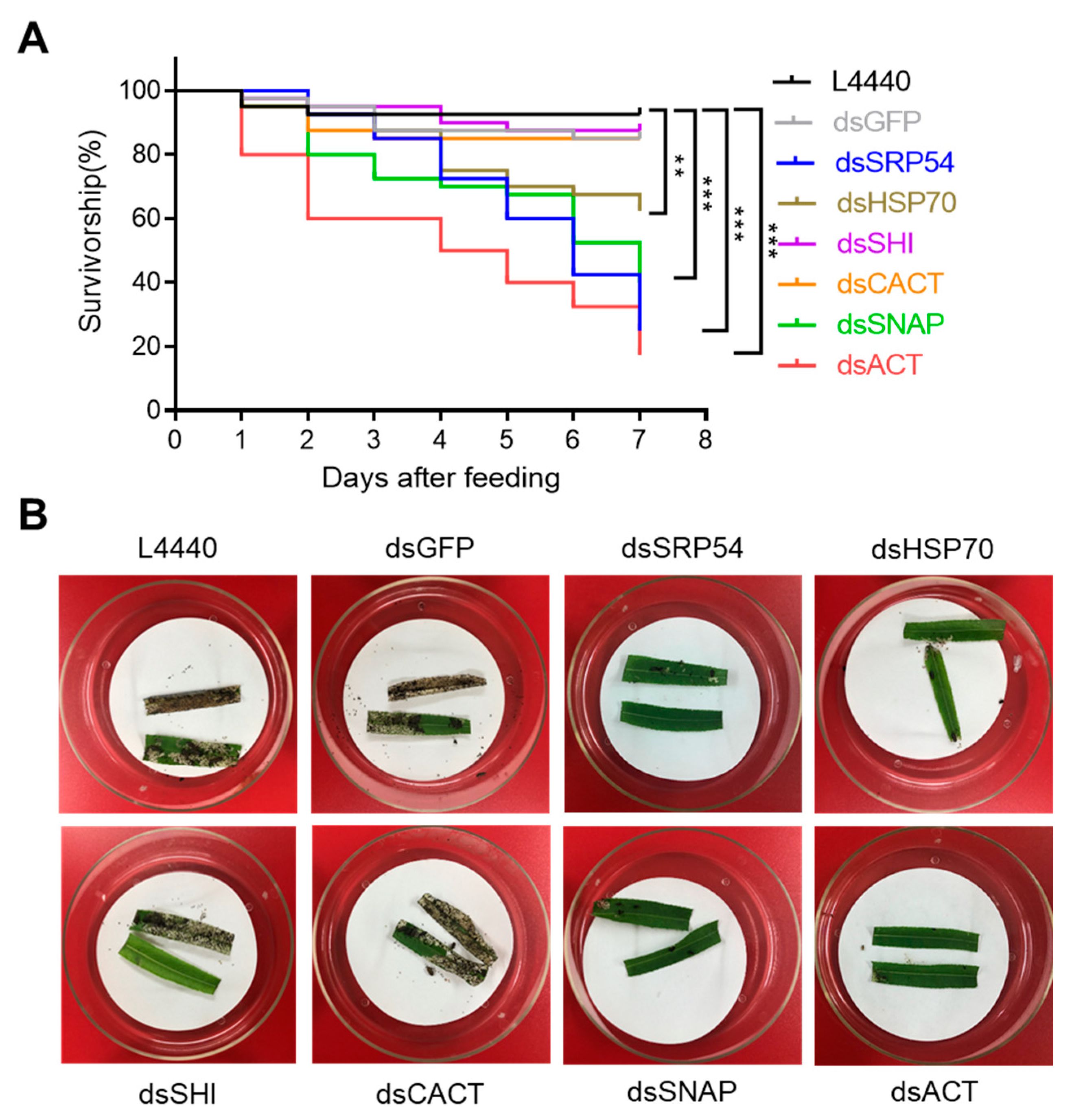 Insects 10 00415 g002