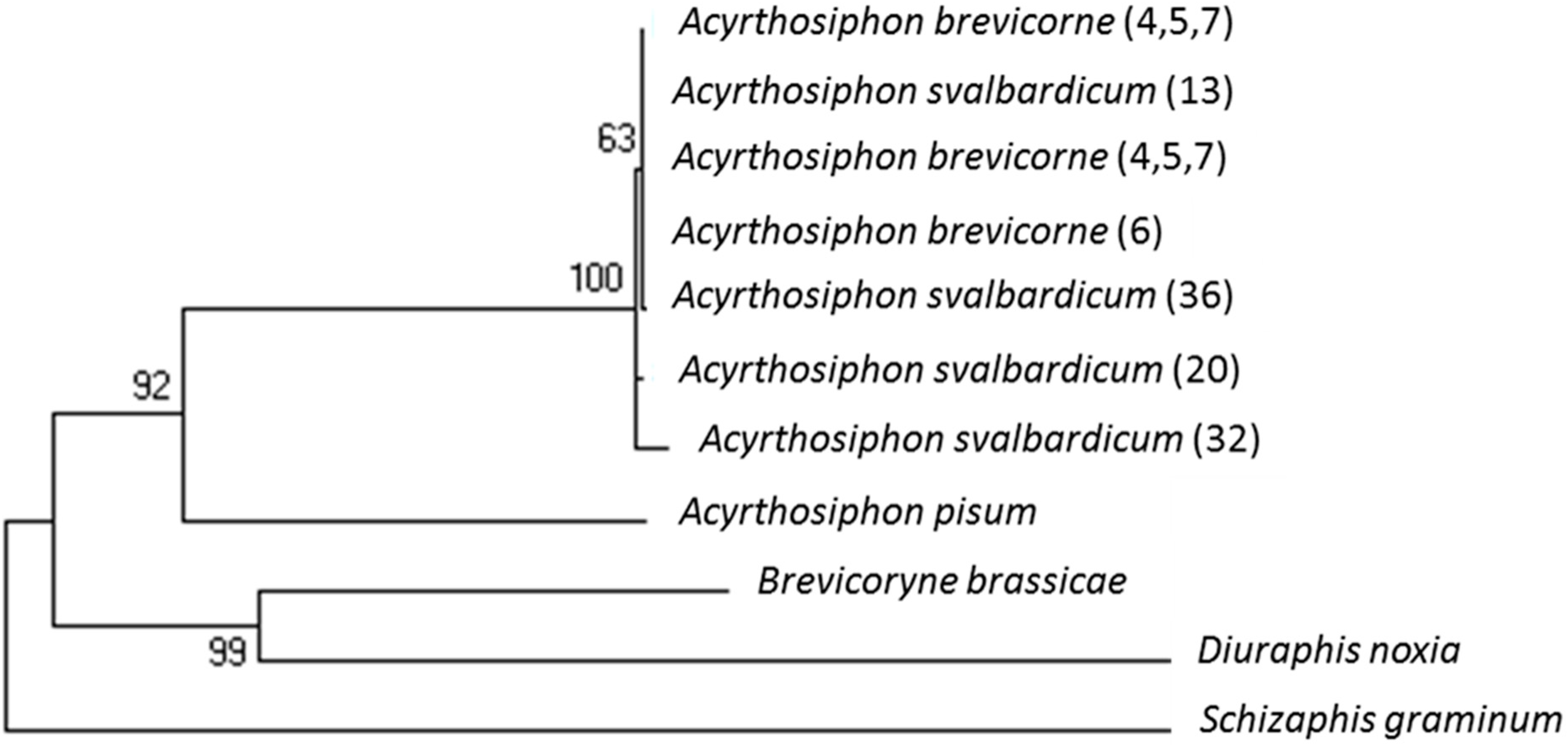 Insects 10 00427 g005 Insects 10 00427 g005