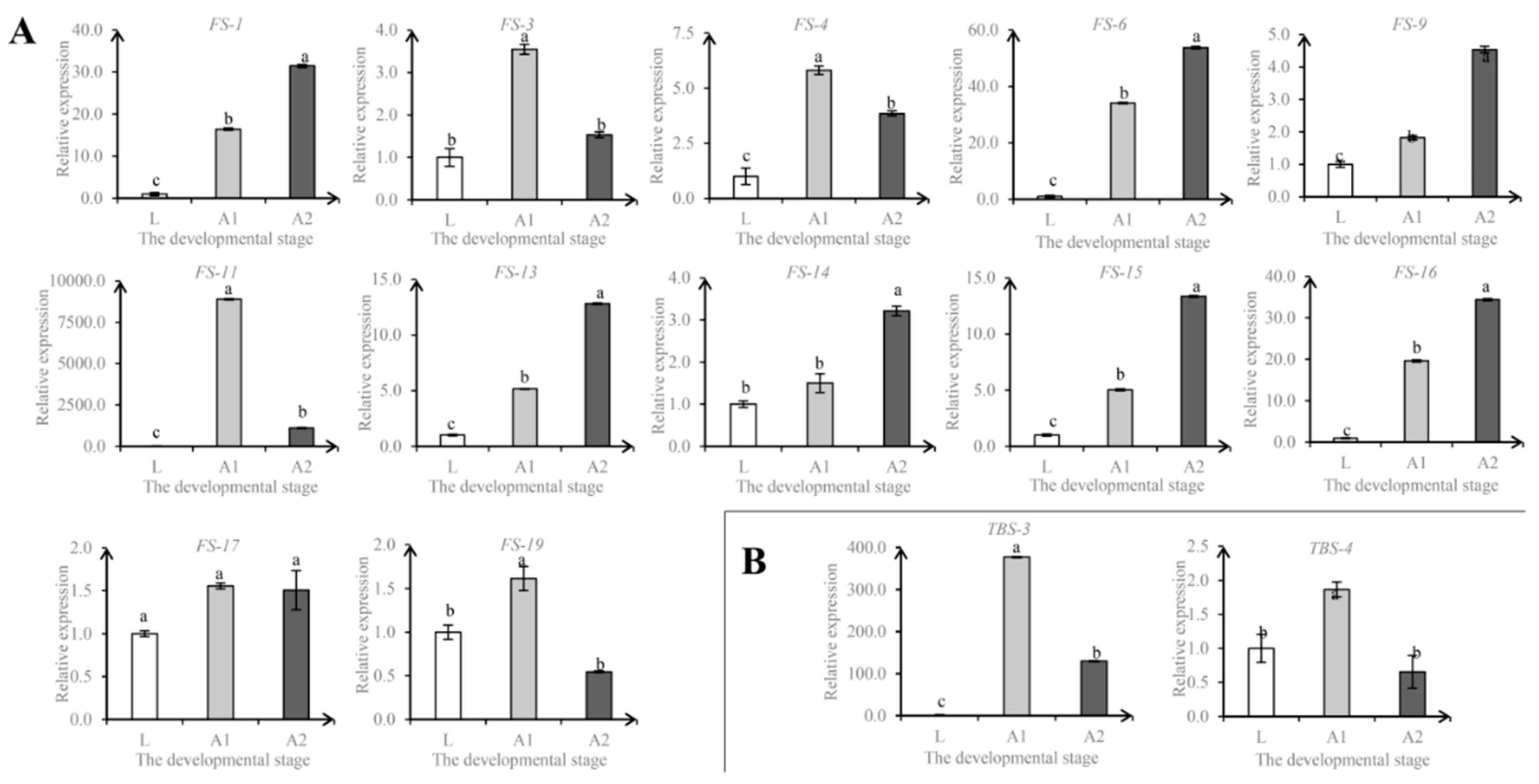 Insects 10 00430 g003