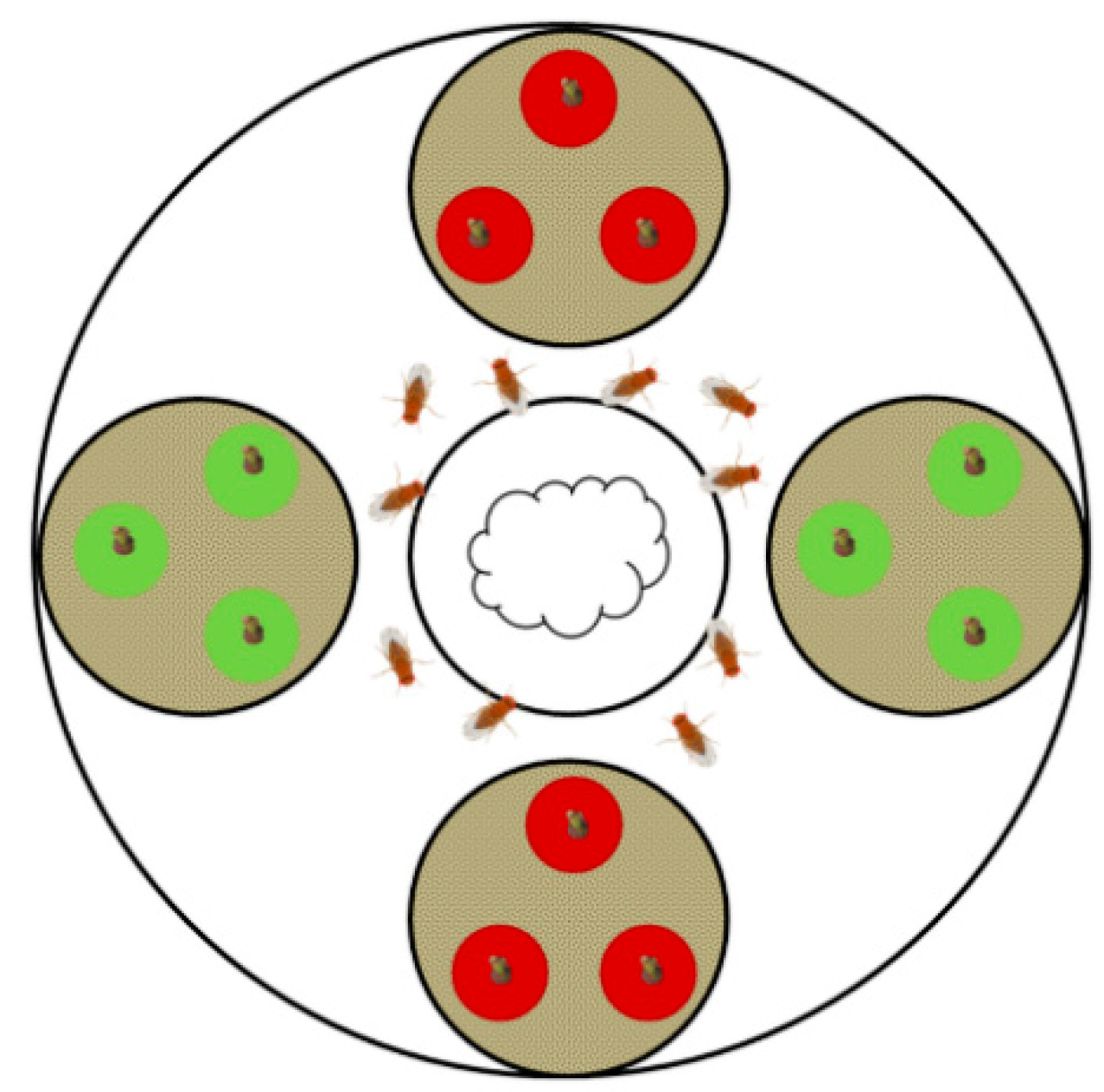 Insects 10 00432 g001