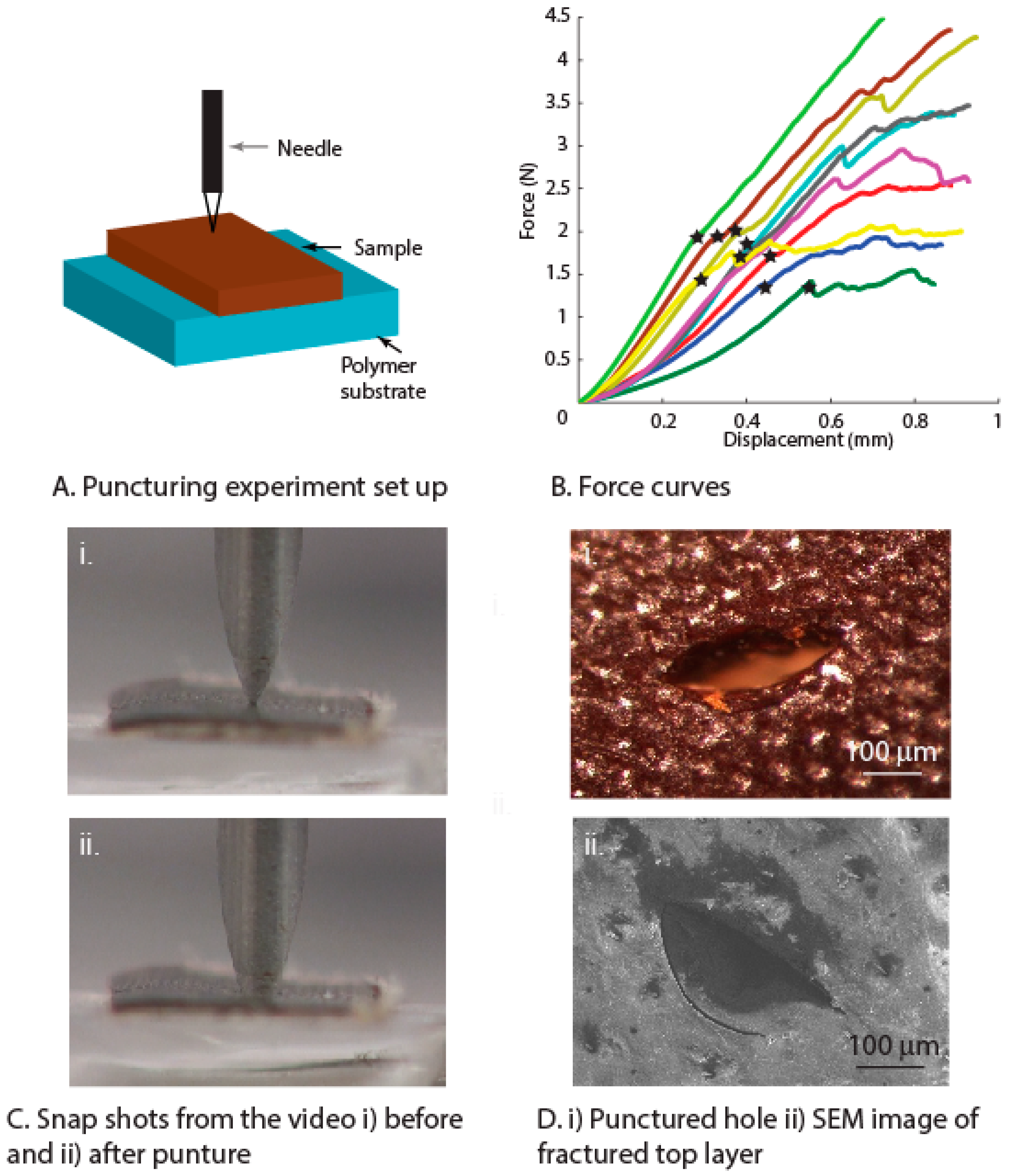 Insects 10 00438 g008 Insects 10 00438 g008