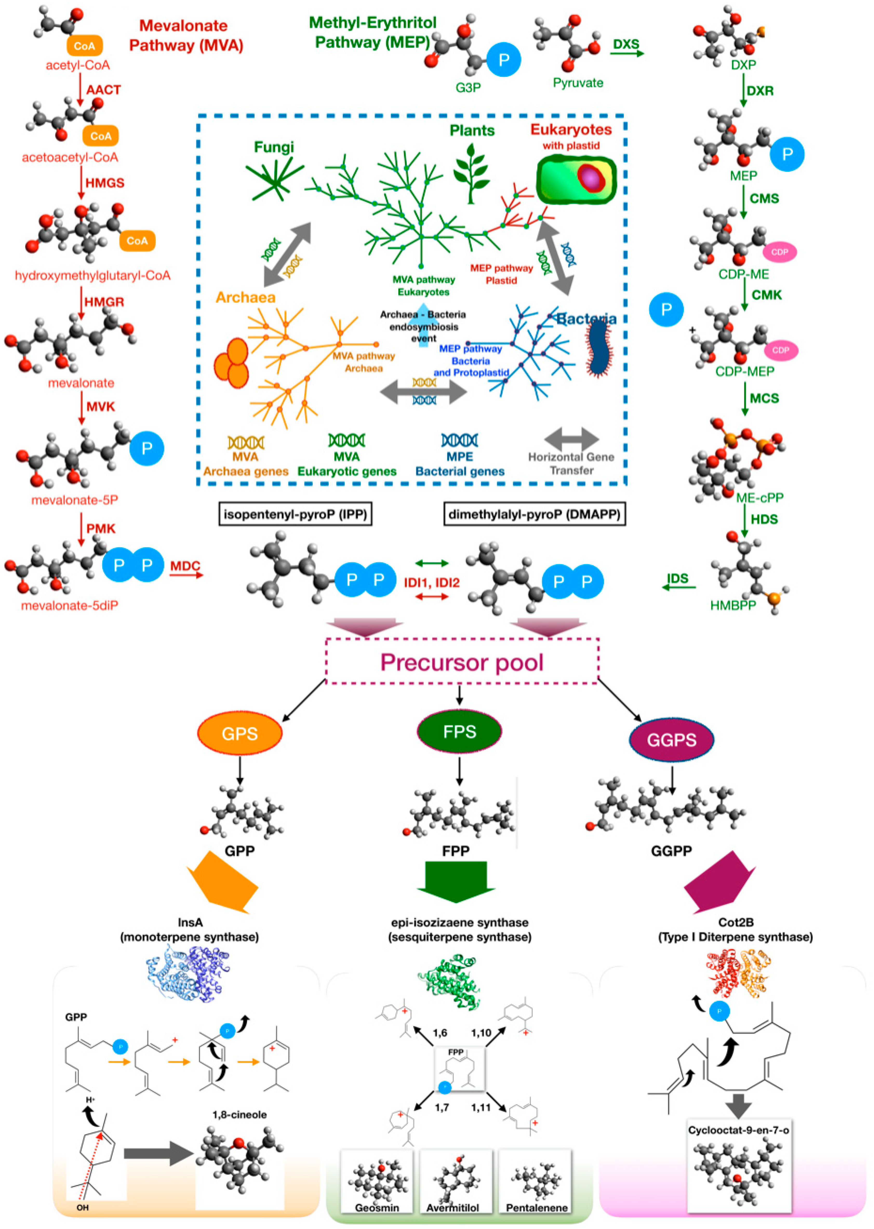 Insects 10 00441 g005 Insects 10 00441 g005