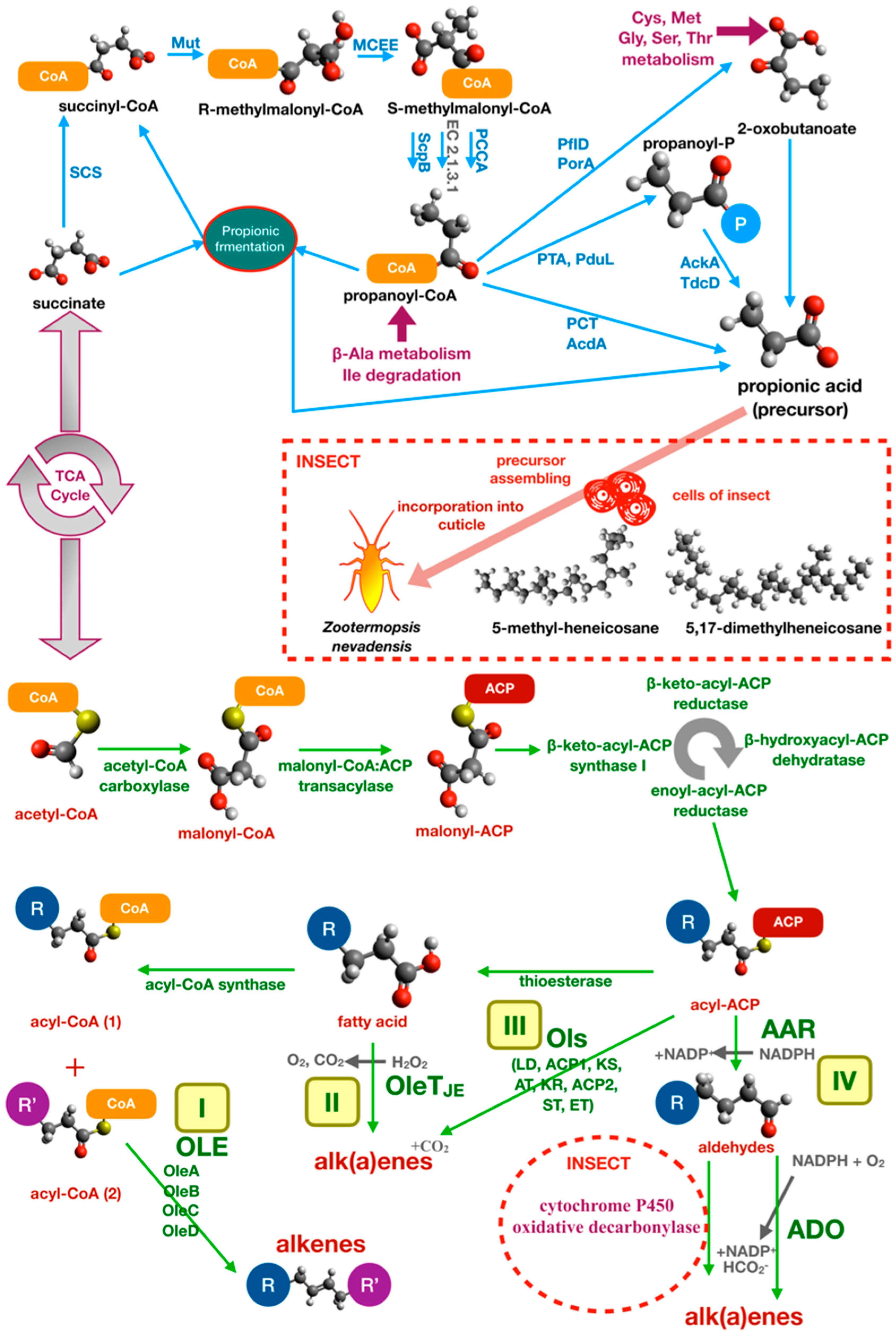 Insects 10 00441 g006 Insects 10 00441 g006